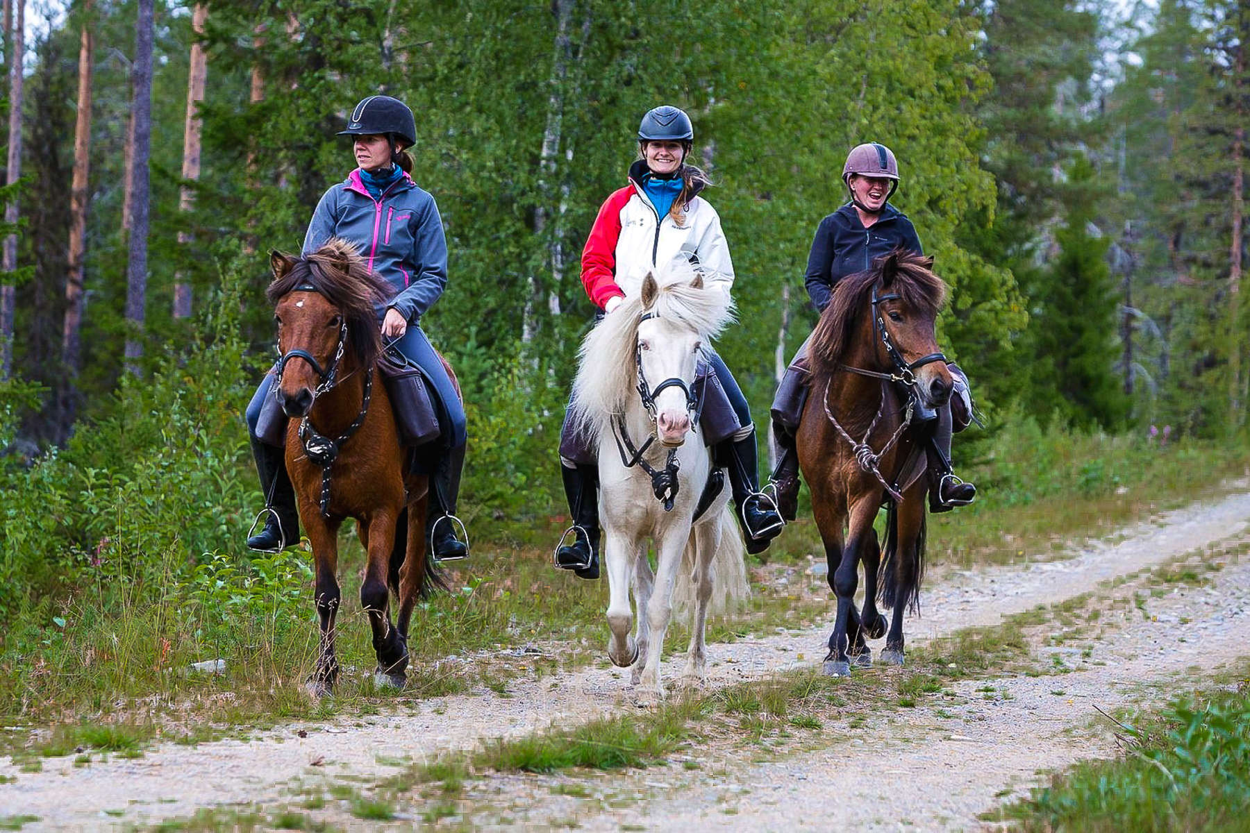 A cheval dans la Laponie suédoise