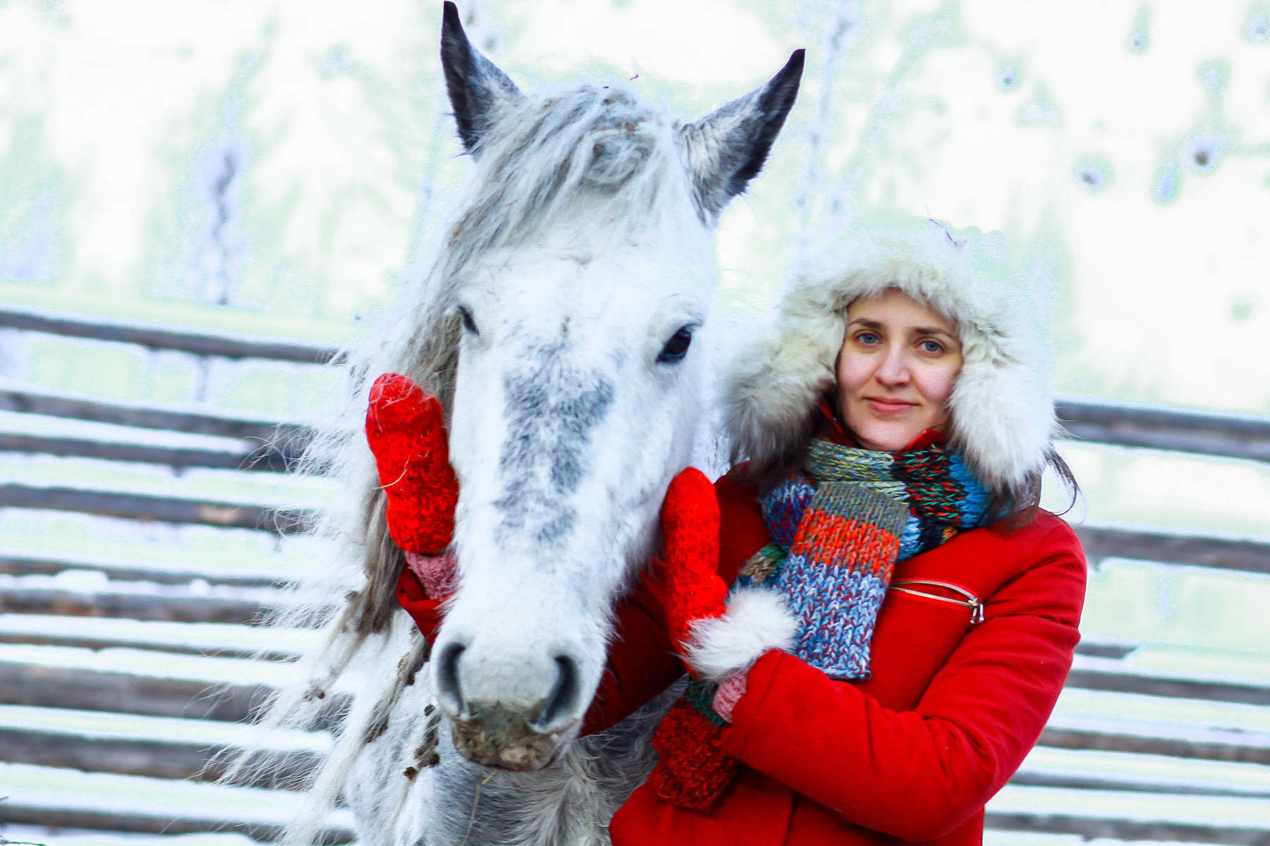 Cavalière en hiver dans l'Altaï A cheval dans l'Altaï