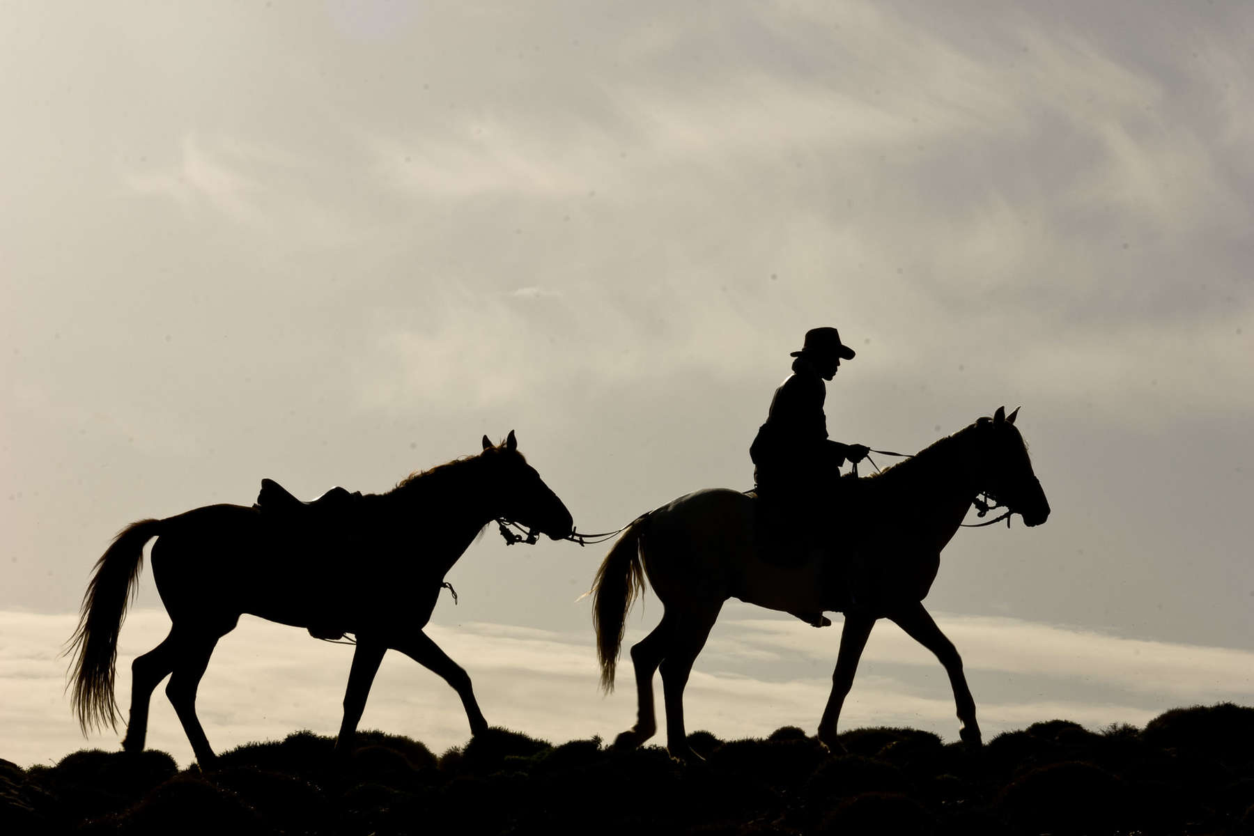 A cheval dans le Sirwa