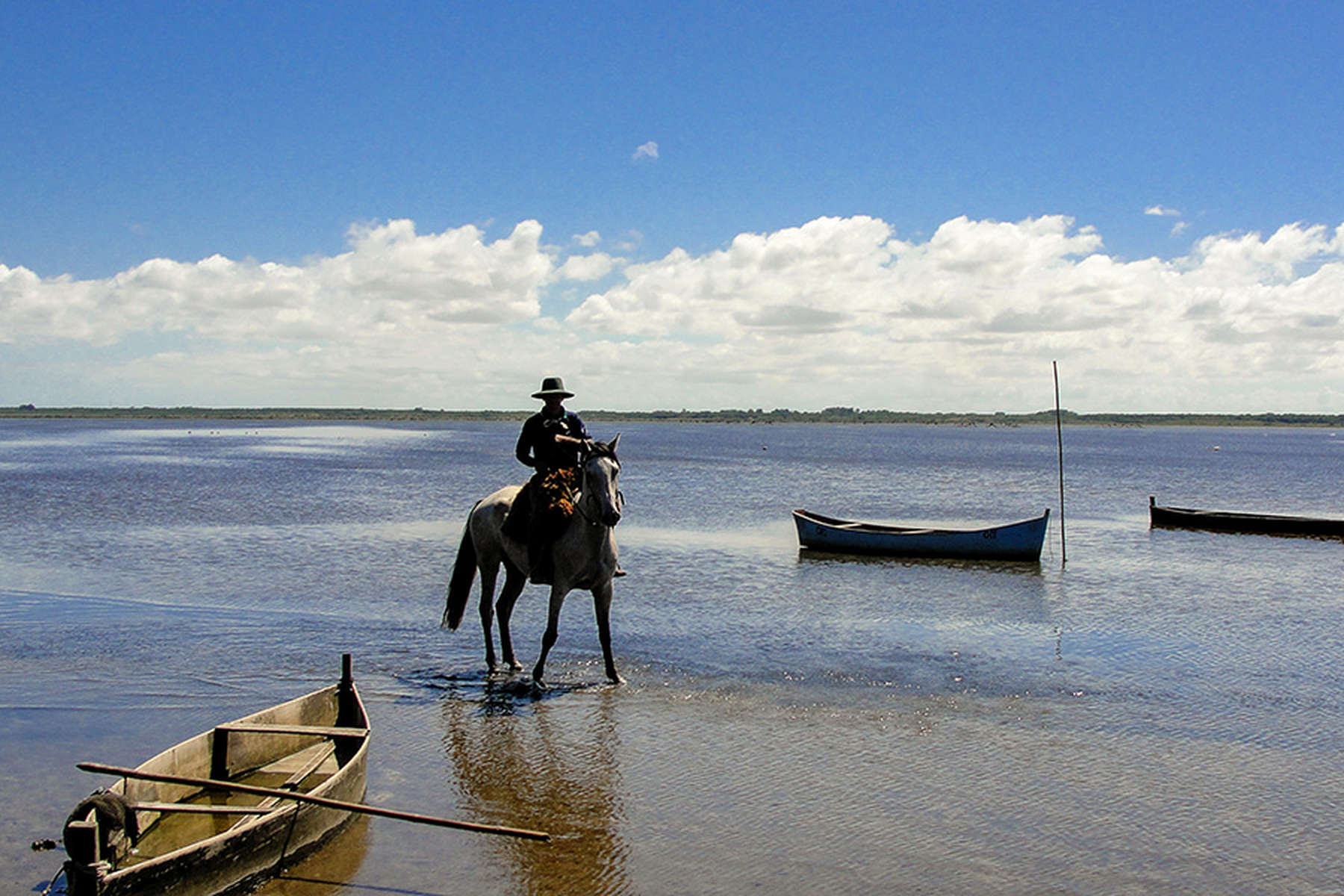 Cavalier au Brésil