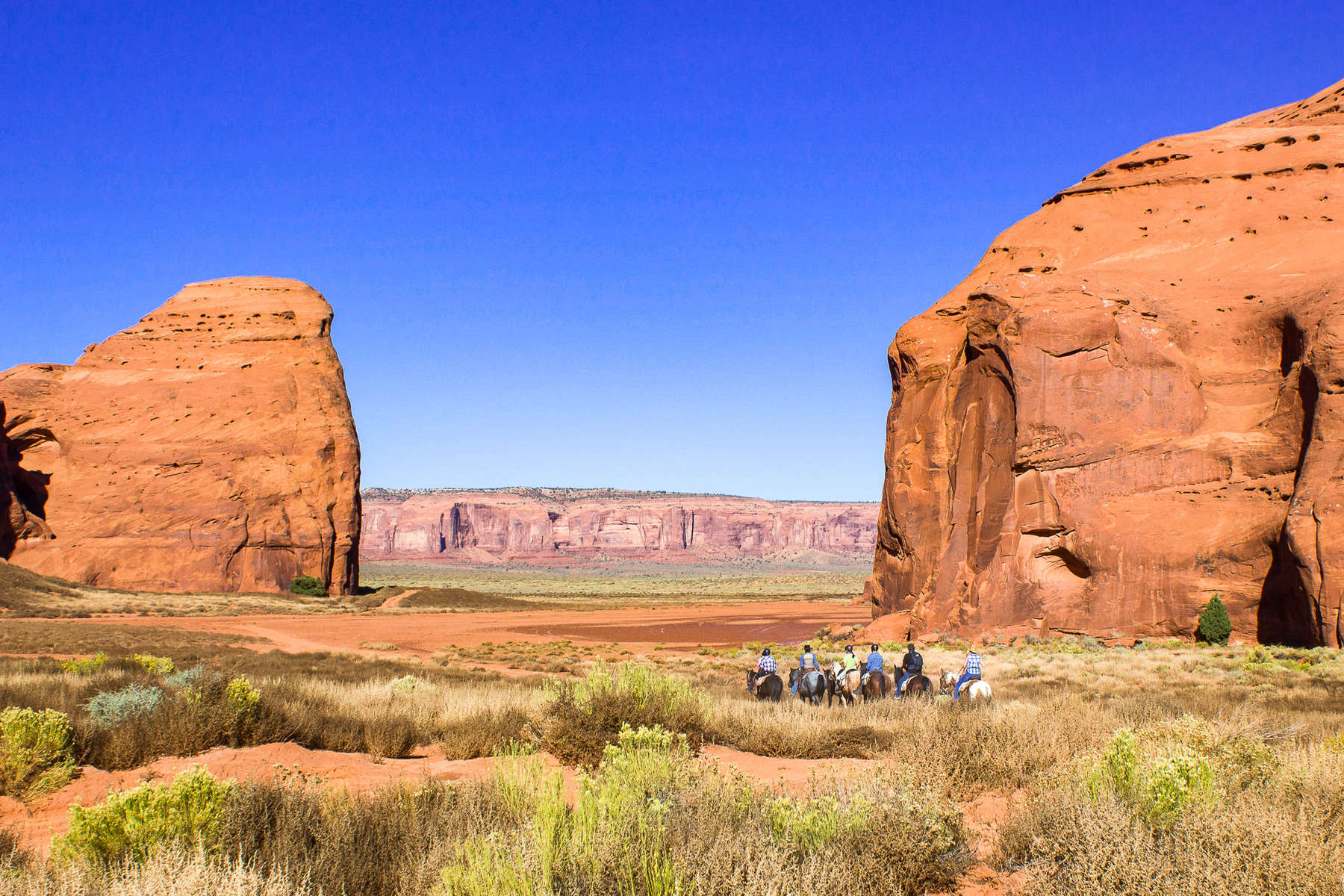 Paysage bucolique des Etats-Unis A cheval dans les paysages américains