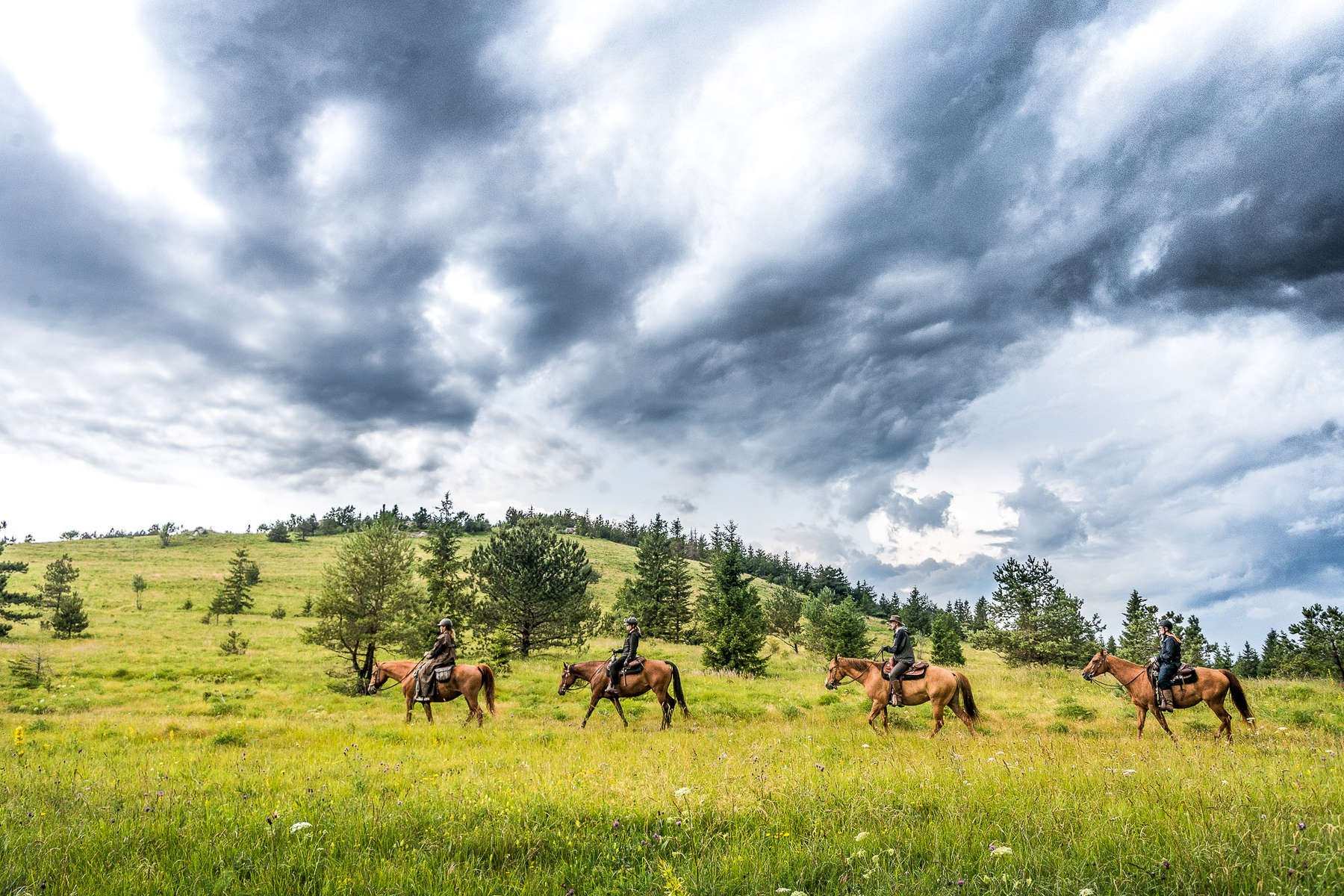 Au cœur de la Slovénie à cheval