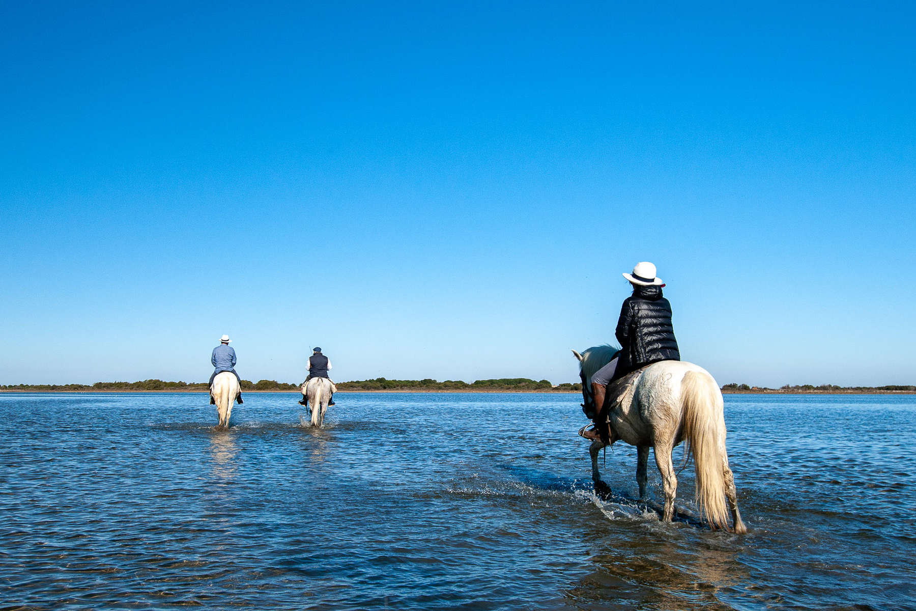 Camargue et ses cavaliers