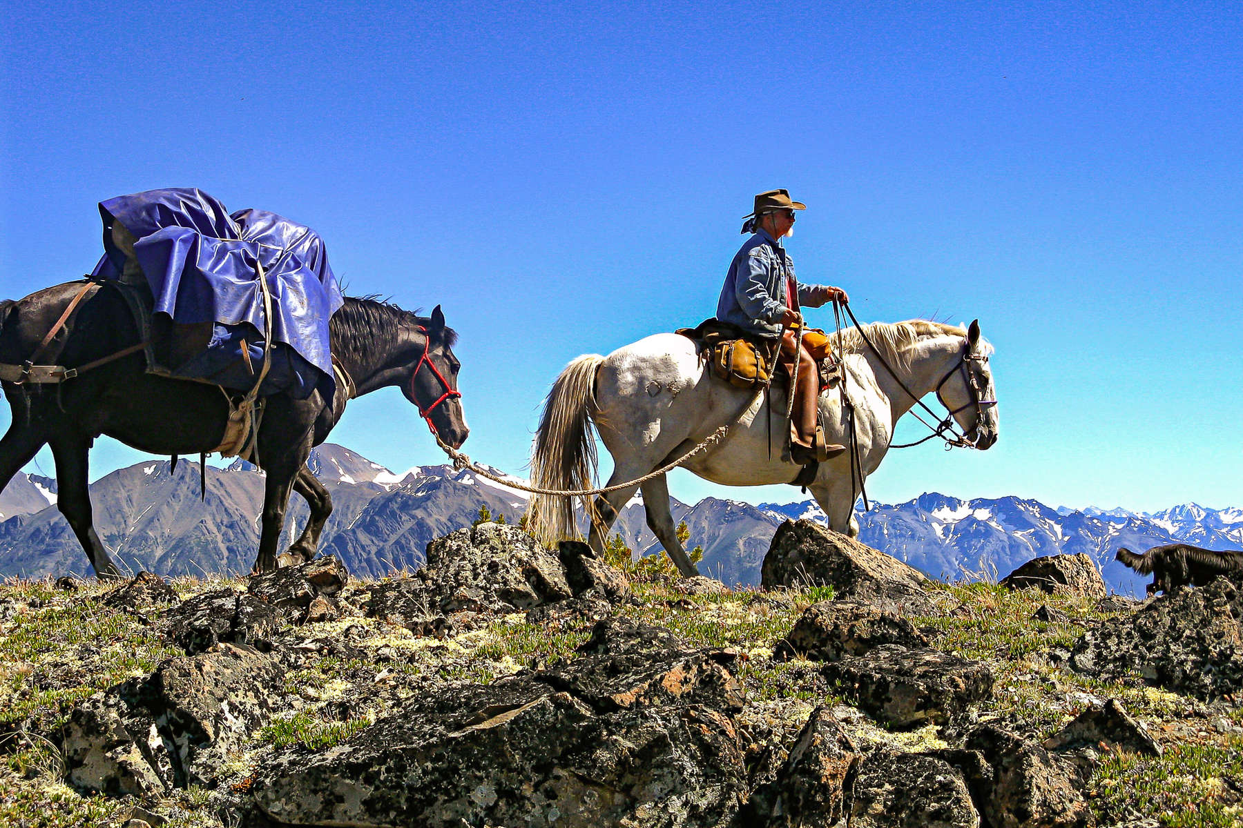 Randonnées à cheval dans l'ouest du Canada