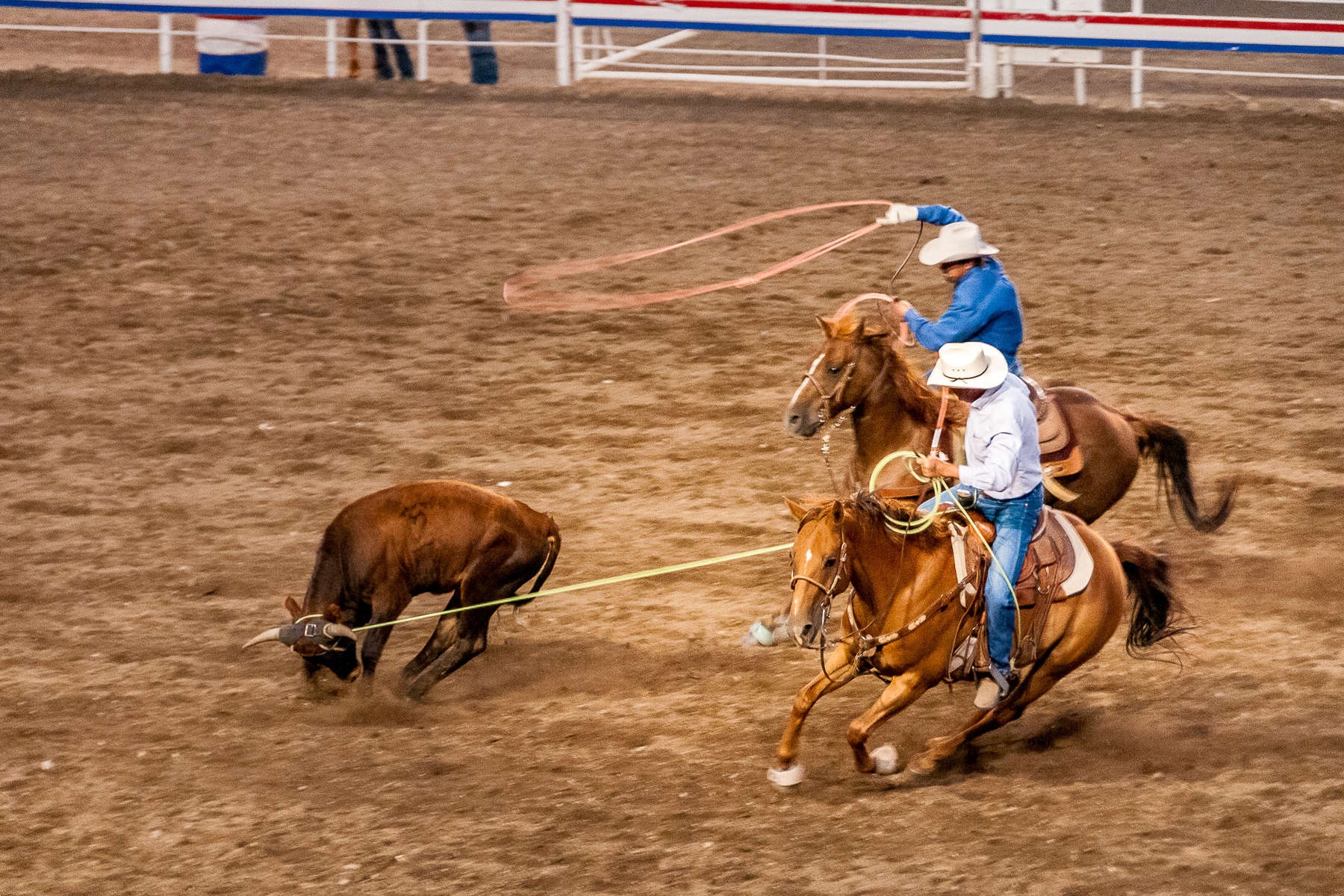 Quizz galop 2 – Cavalière de l'Ouest