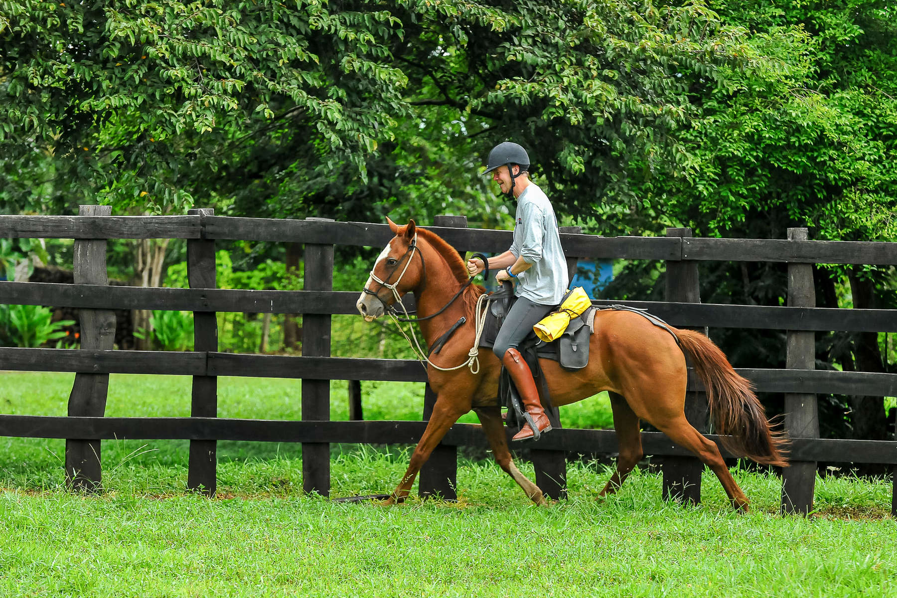 Cavalier au Costa Rica