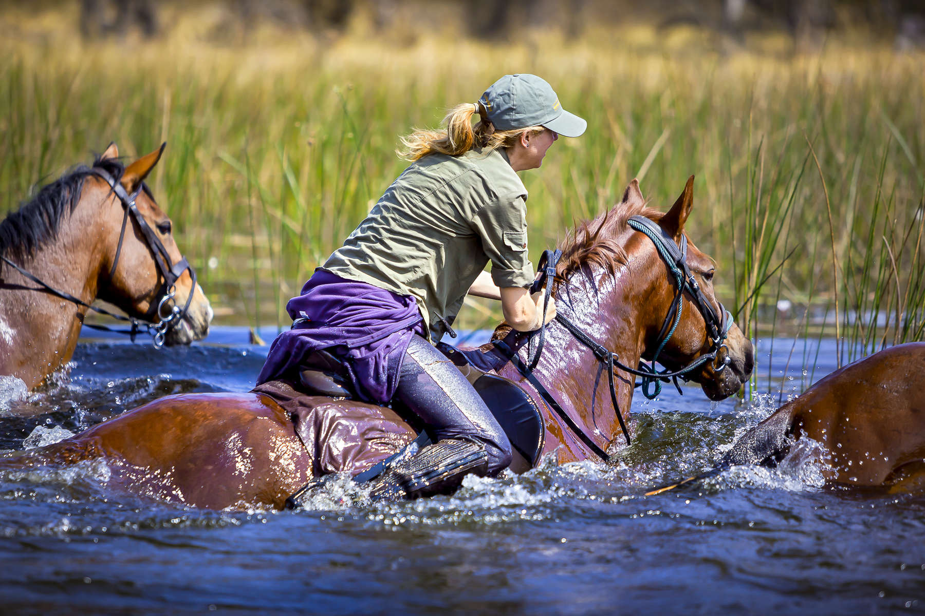 Cavalier dans le delta de l'Okavango