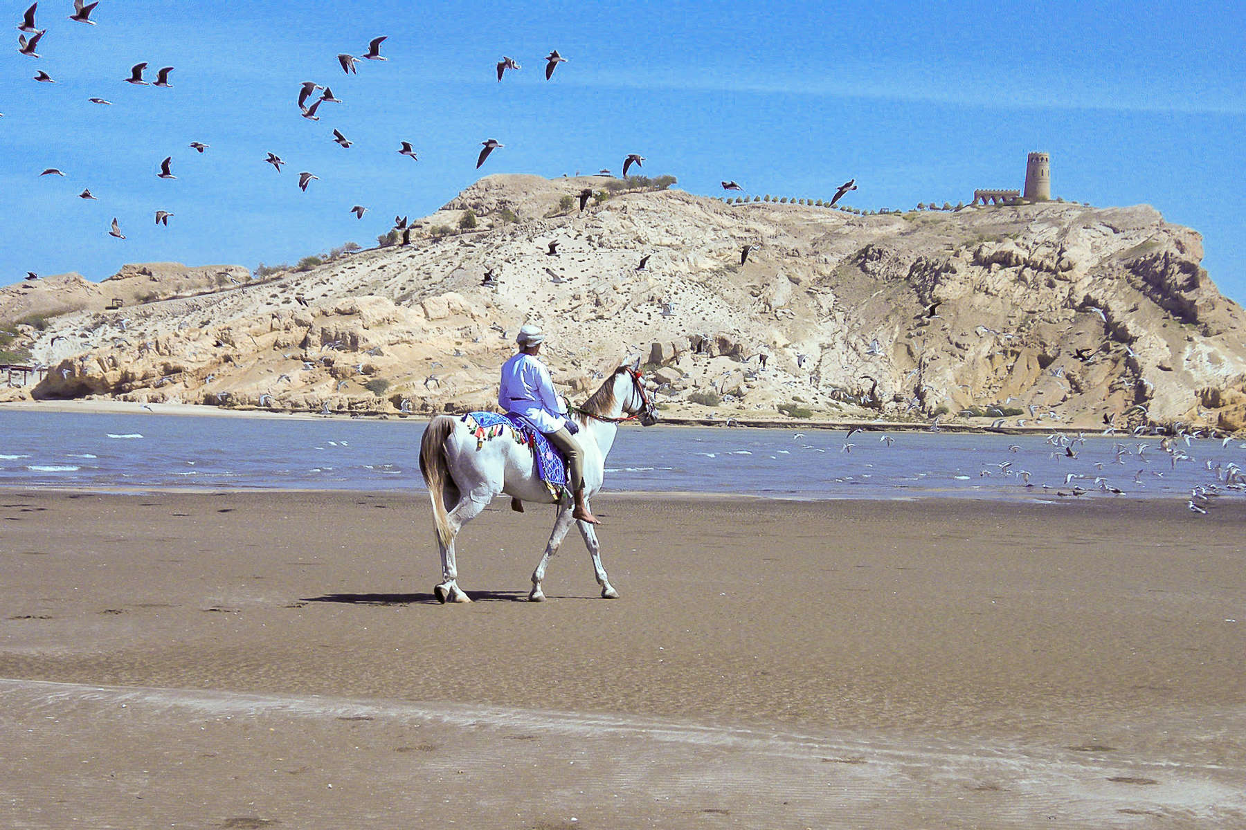 Cavalier sur une plage à Oman