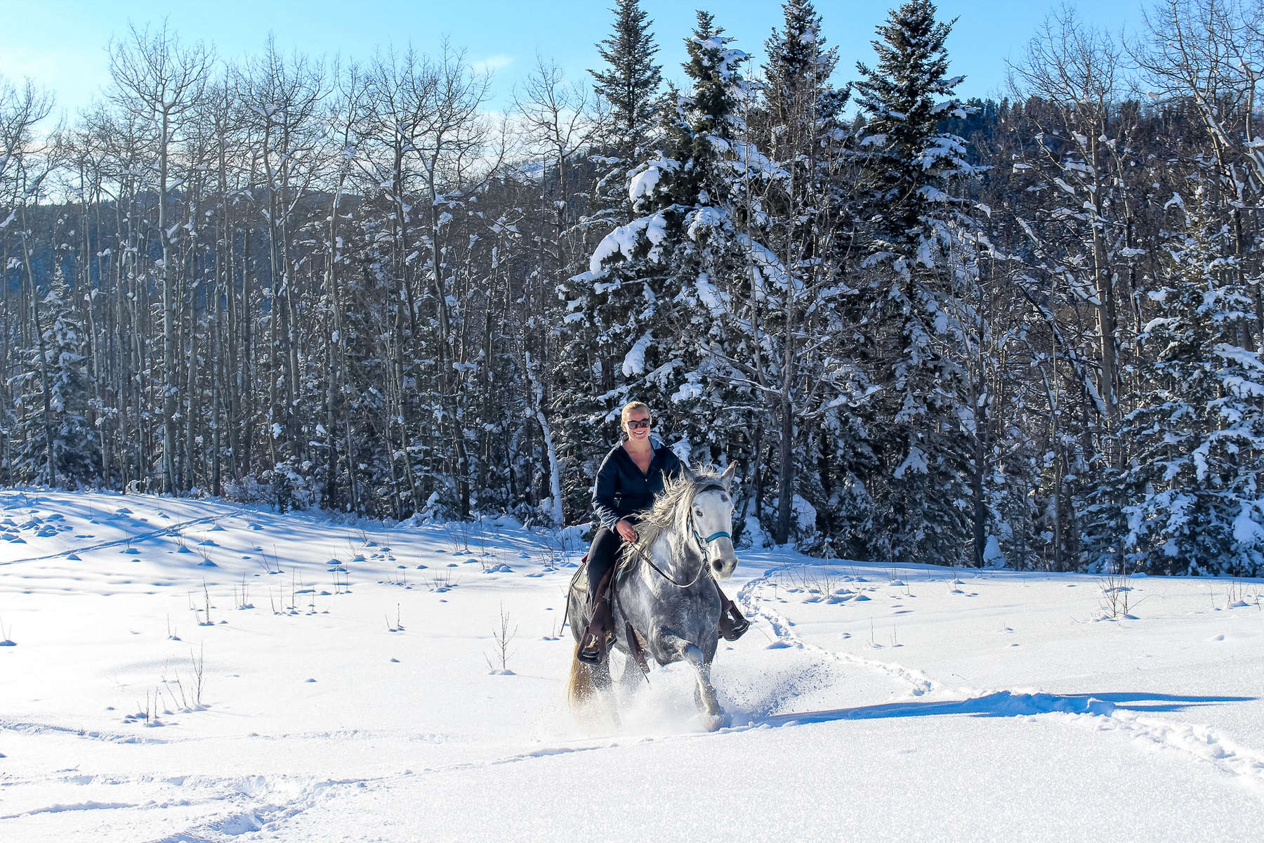 Cavalière dans la neige au Canada