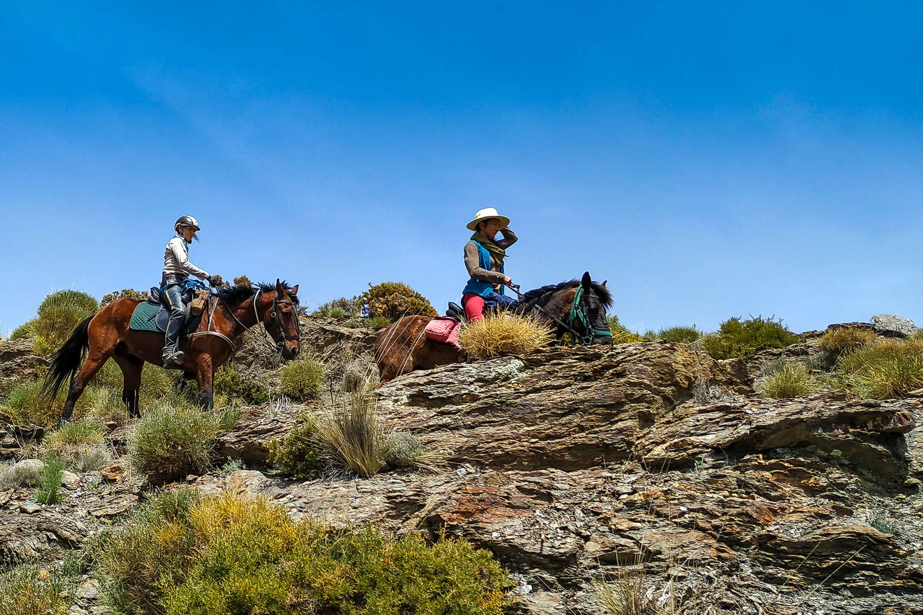 Cavalières en Andalousie