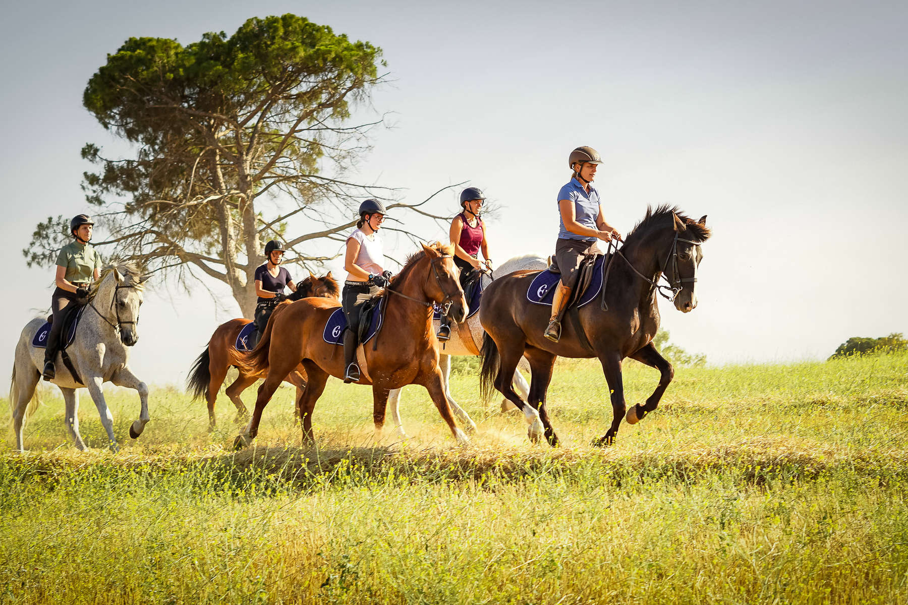 Cavaliers au galop en Andalousie