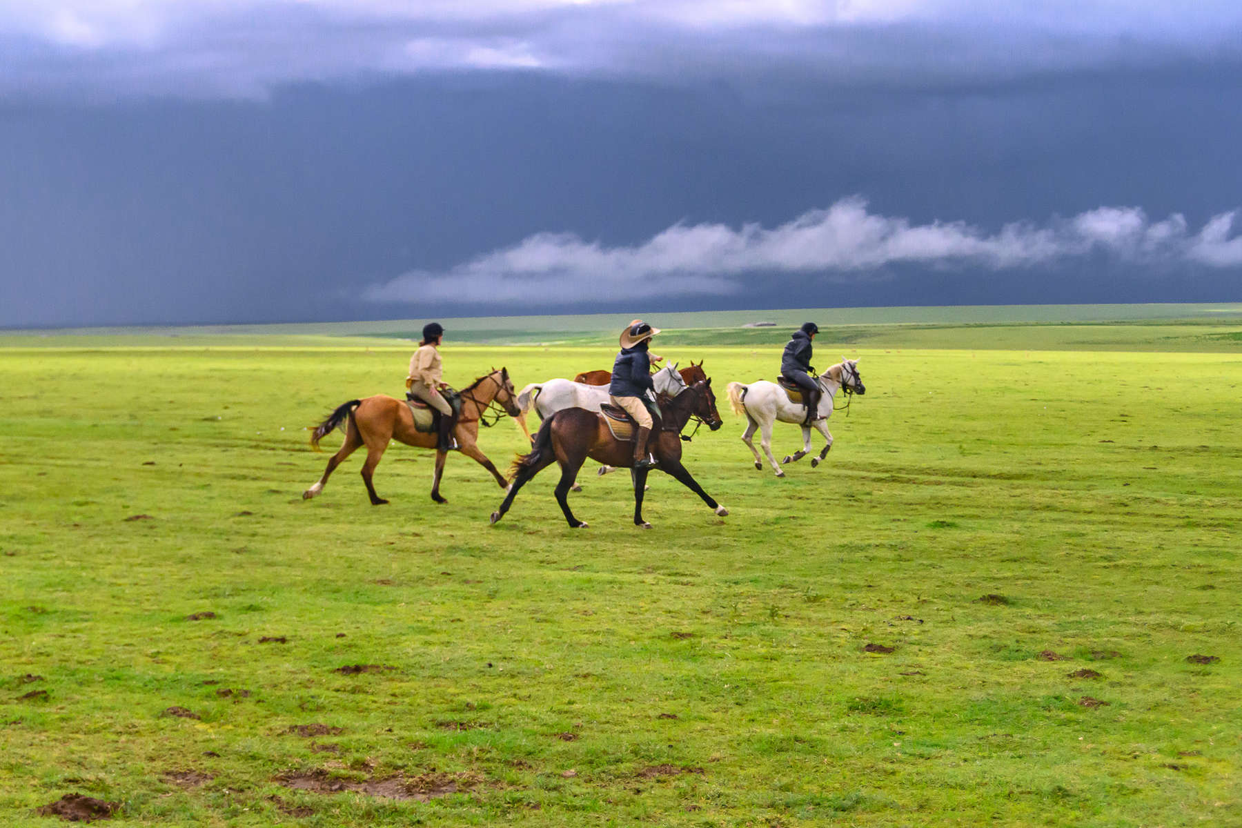 Cavaliers en Tanzanie