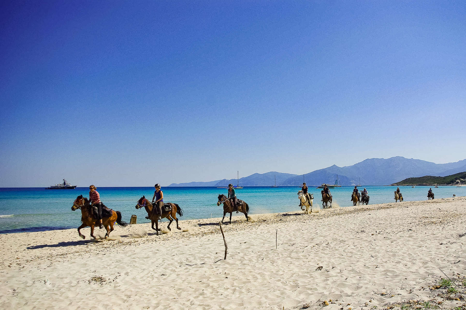 Cavaliers sur les plages corses