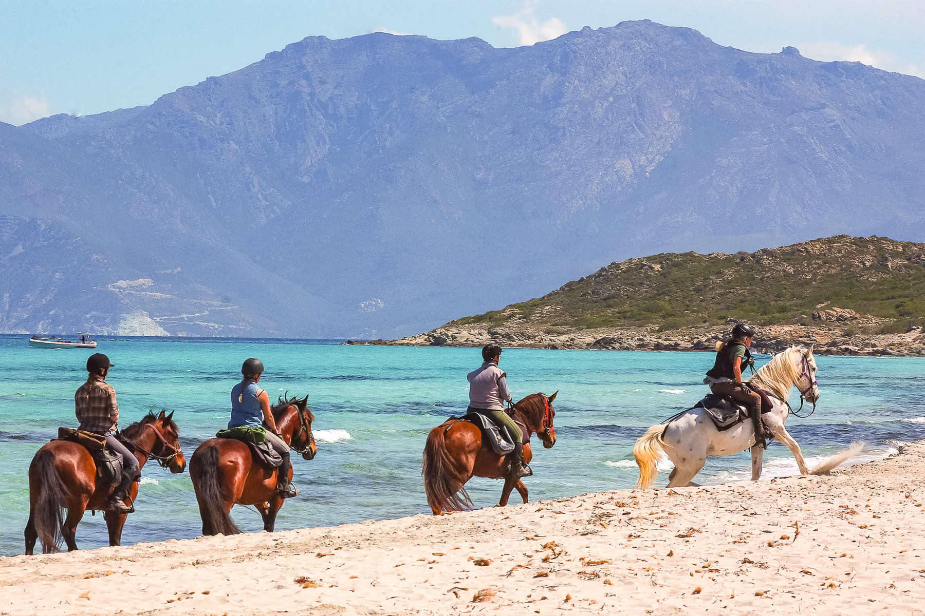 Cavaliers sur les plages corses Cavaliers sur les plages corses