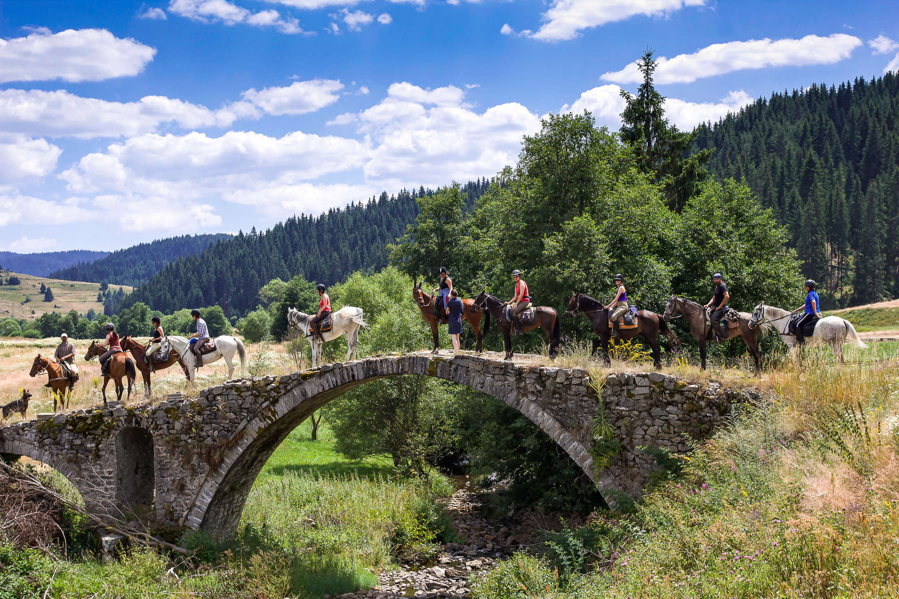 Chevauchée en Bulgarie