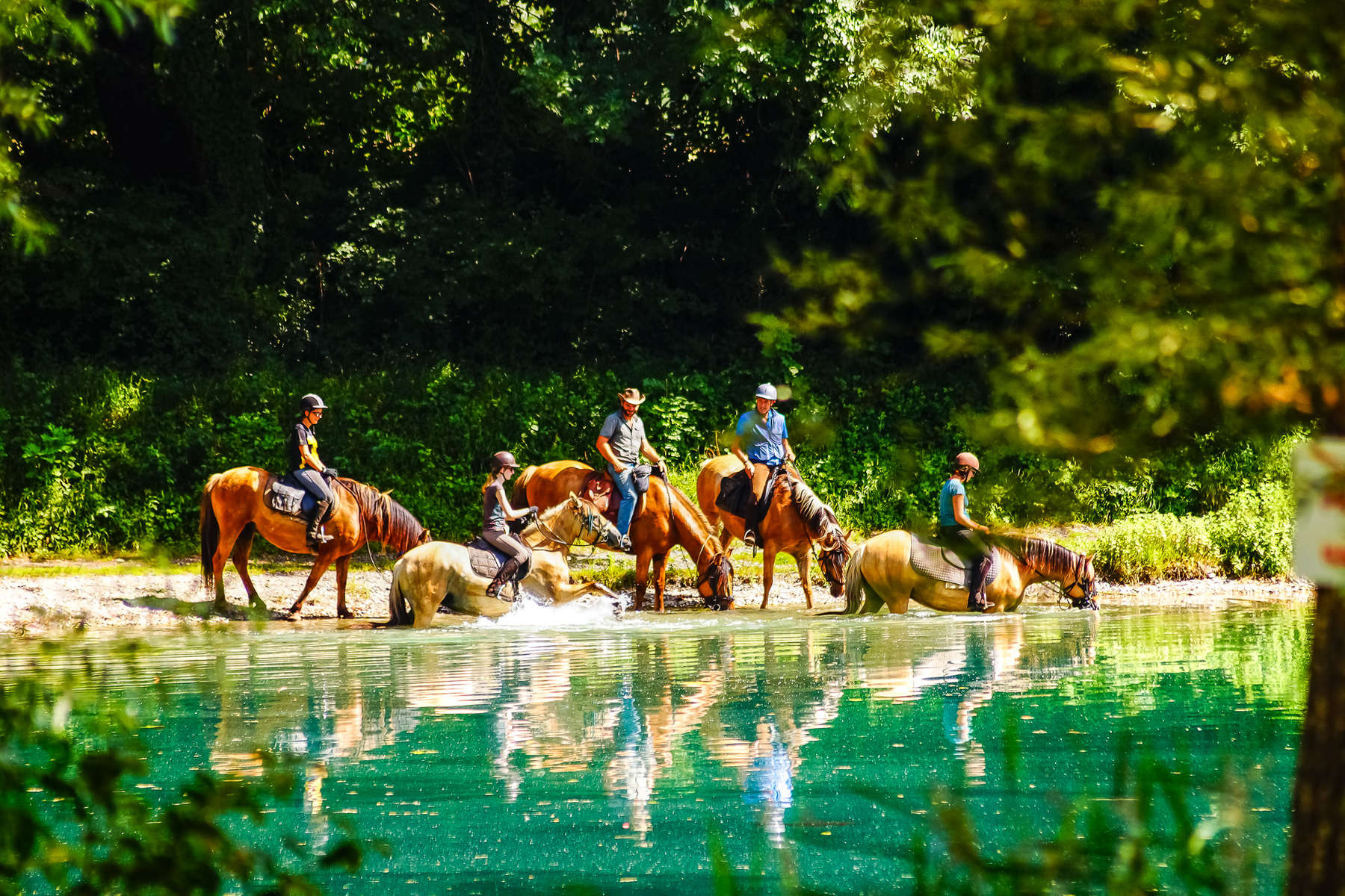 Chevaux au lac de Saint Jean de la Porte