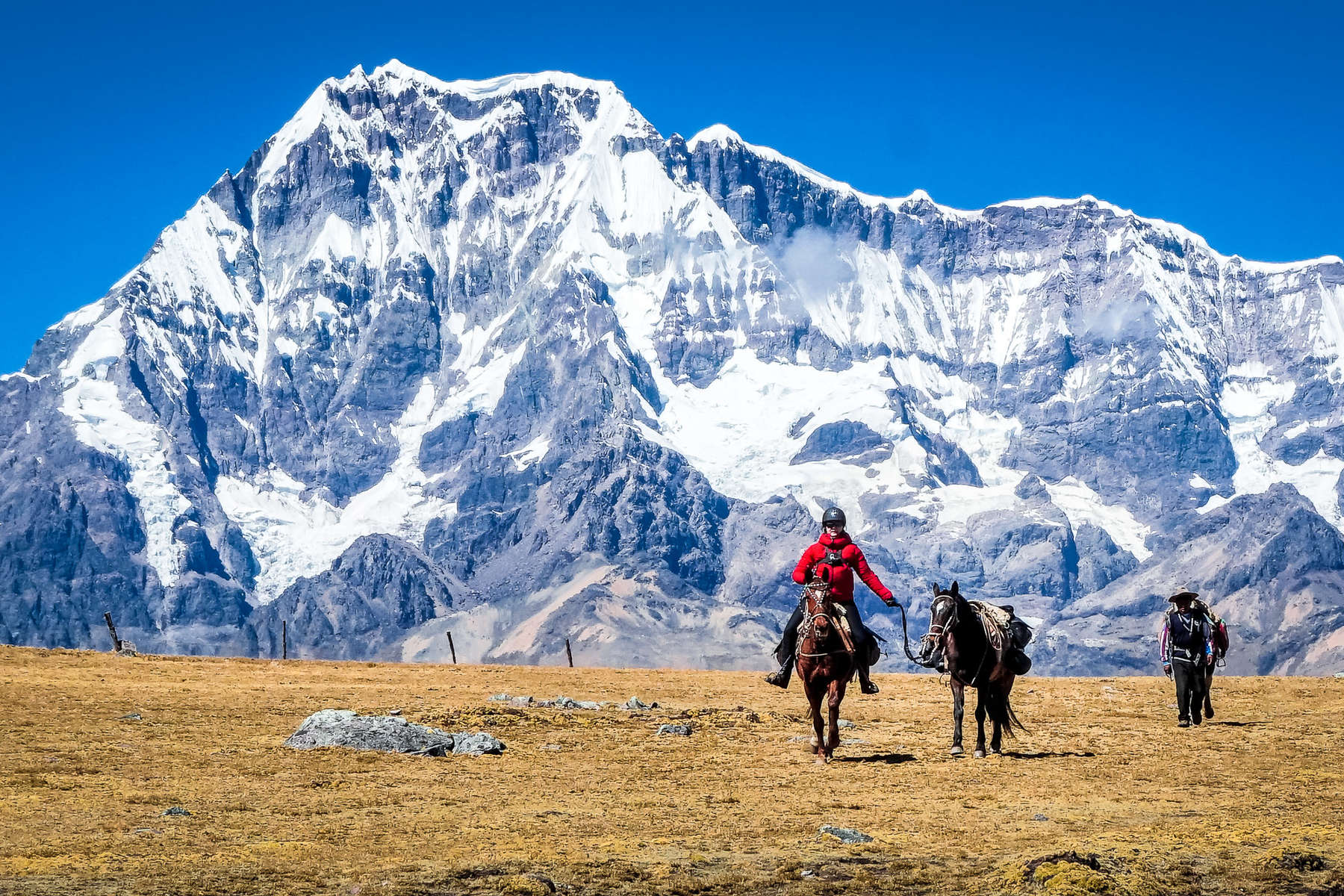 Chevaux au pied de l'Ausangate