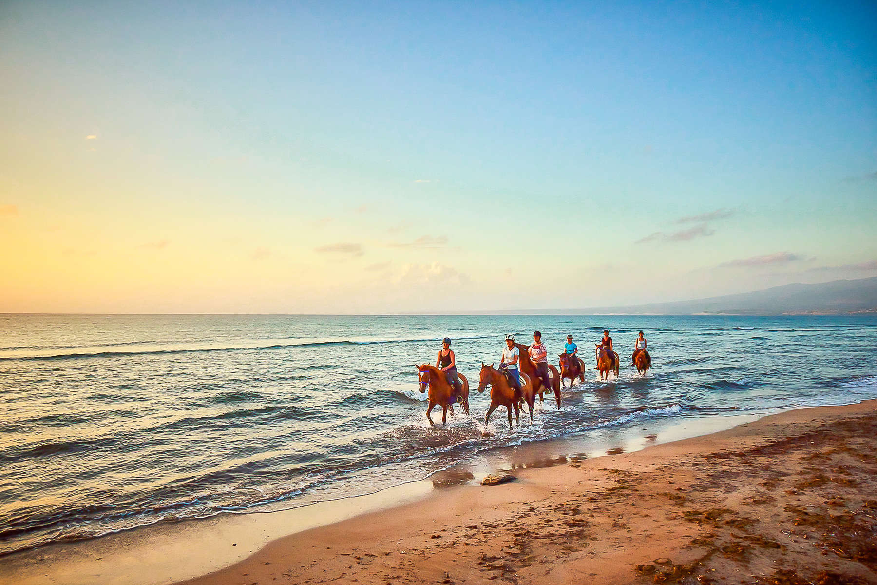 Chevaux dans la mer en Sardaigne