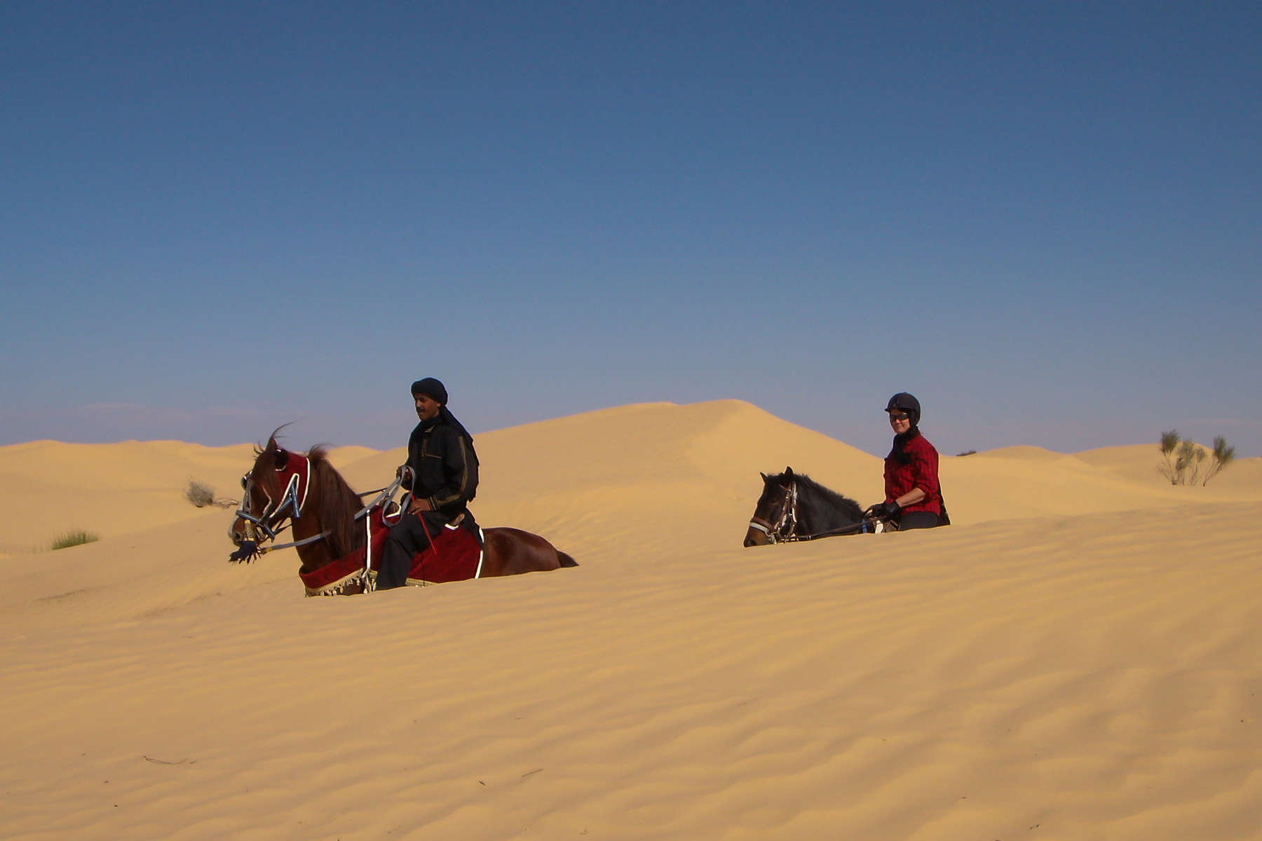 Profitez Dun Séjour équestre Dans Le Sahara En Tunisie