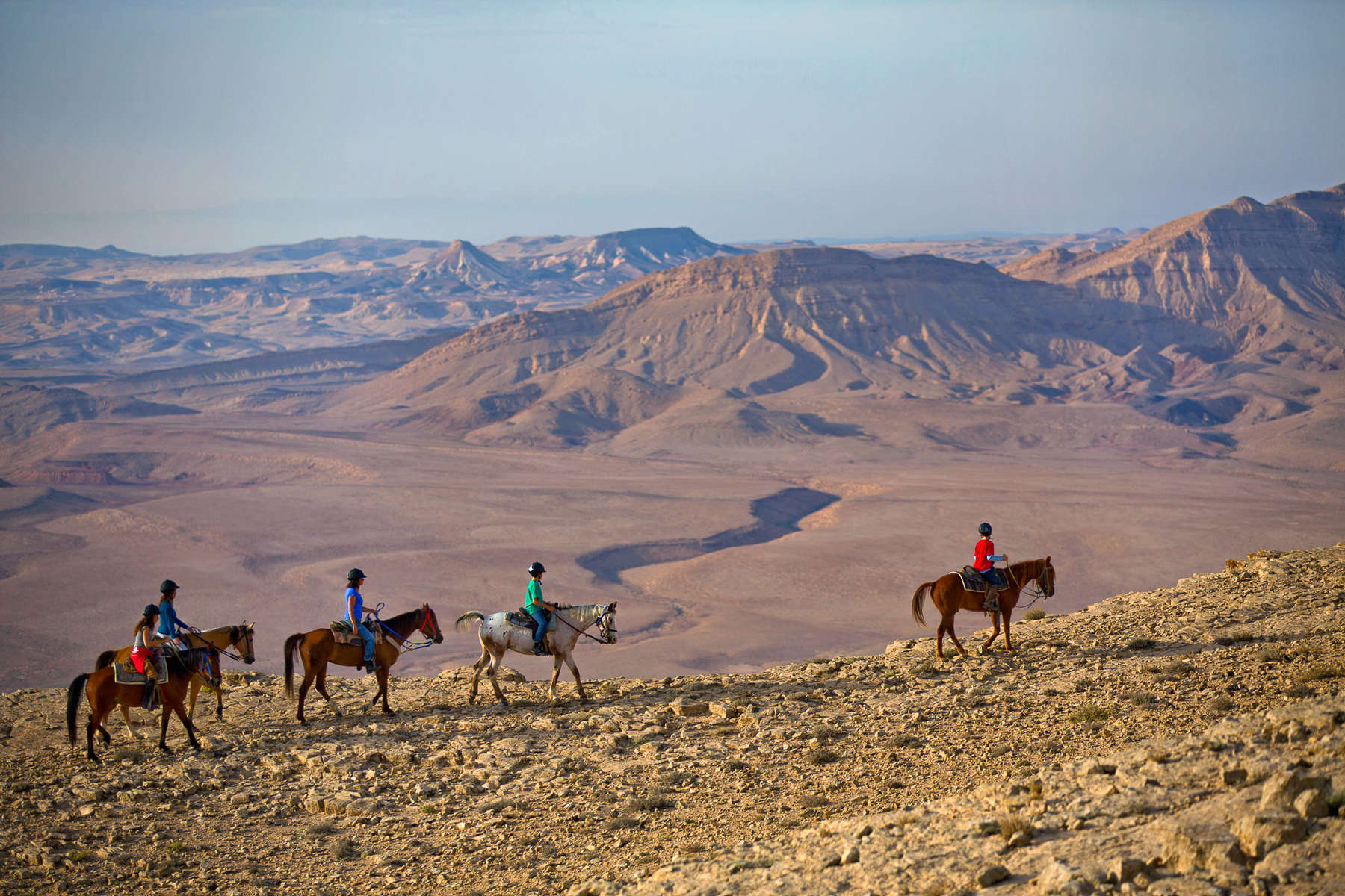 Chevaux en Israël