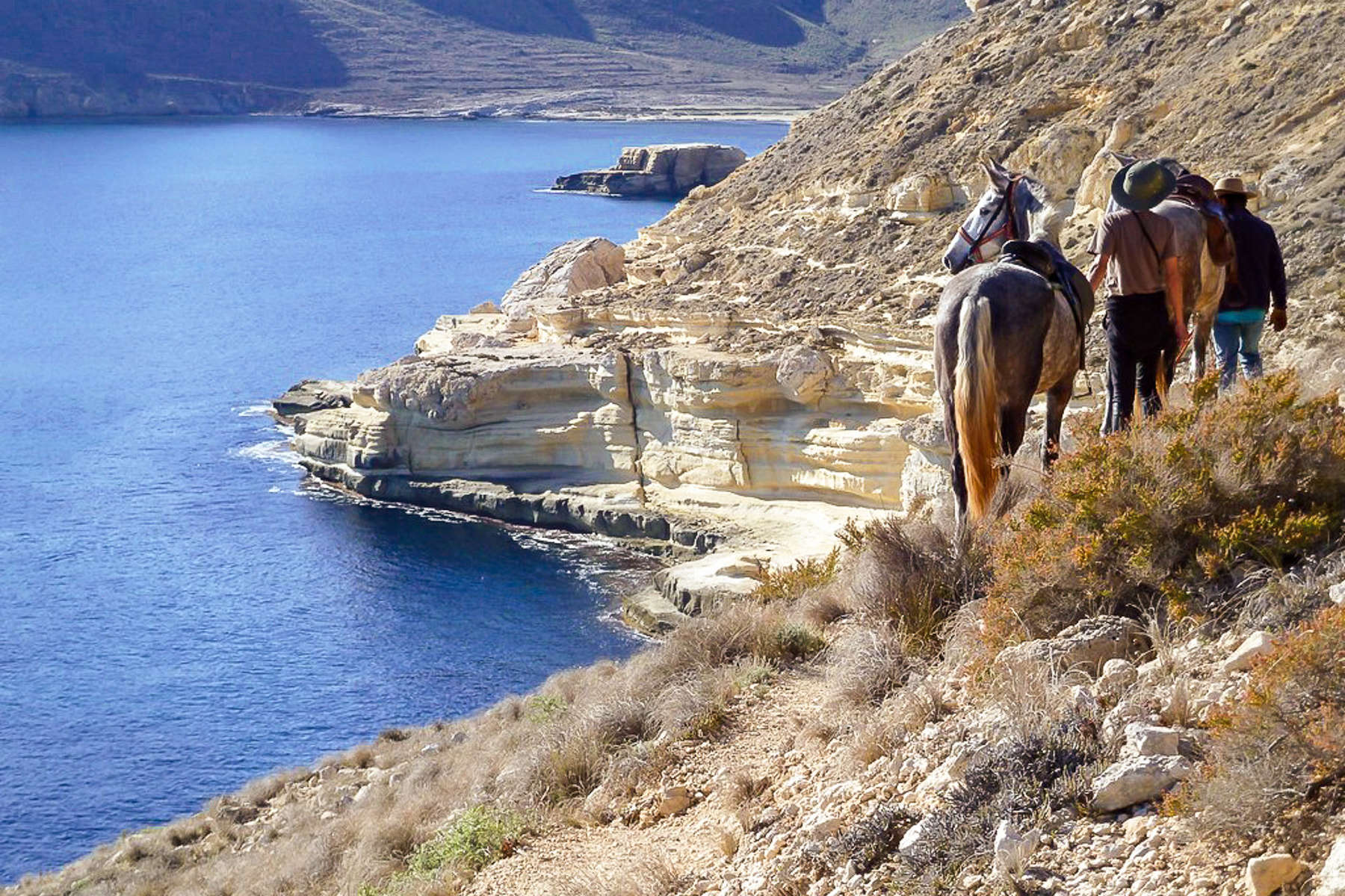 Balade à cheval sur la plage en Andalousie - Andaluciamia