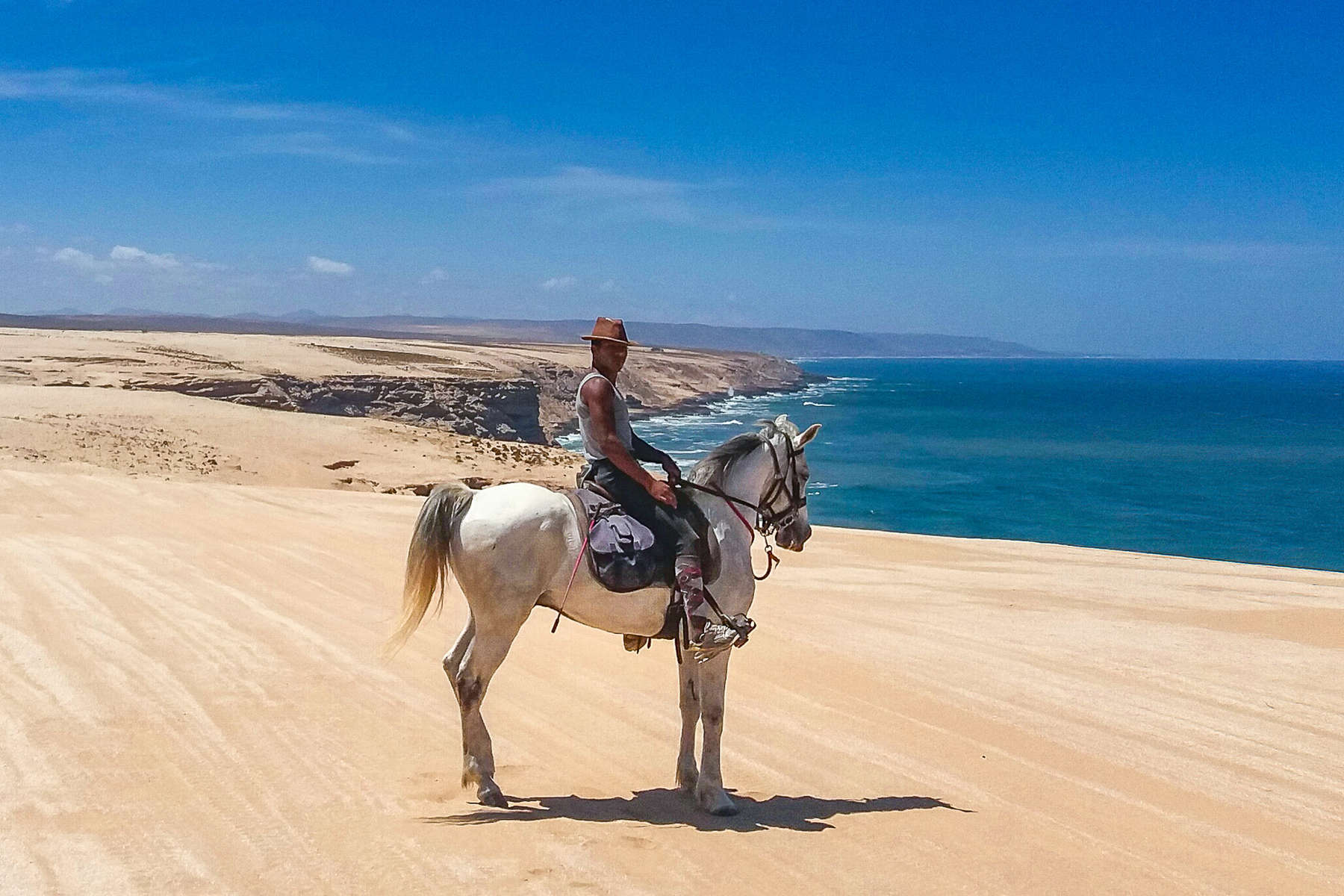 Côte sud du Maroc à cheval