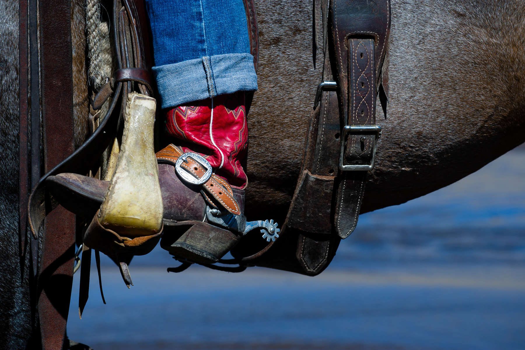 Cowboy du Colorado