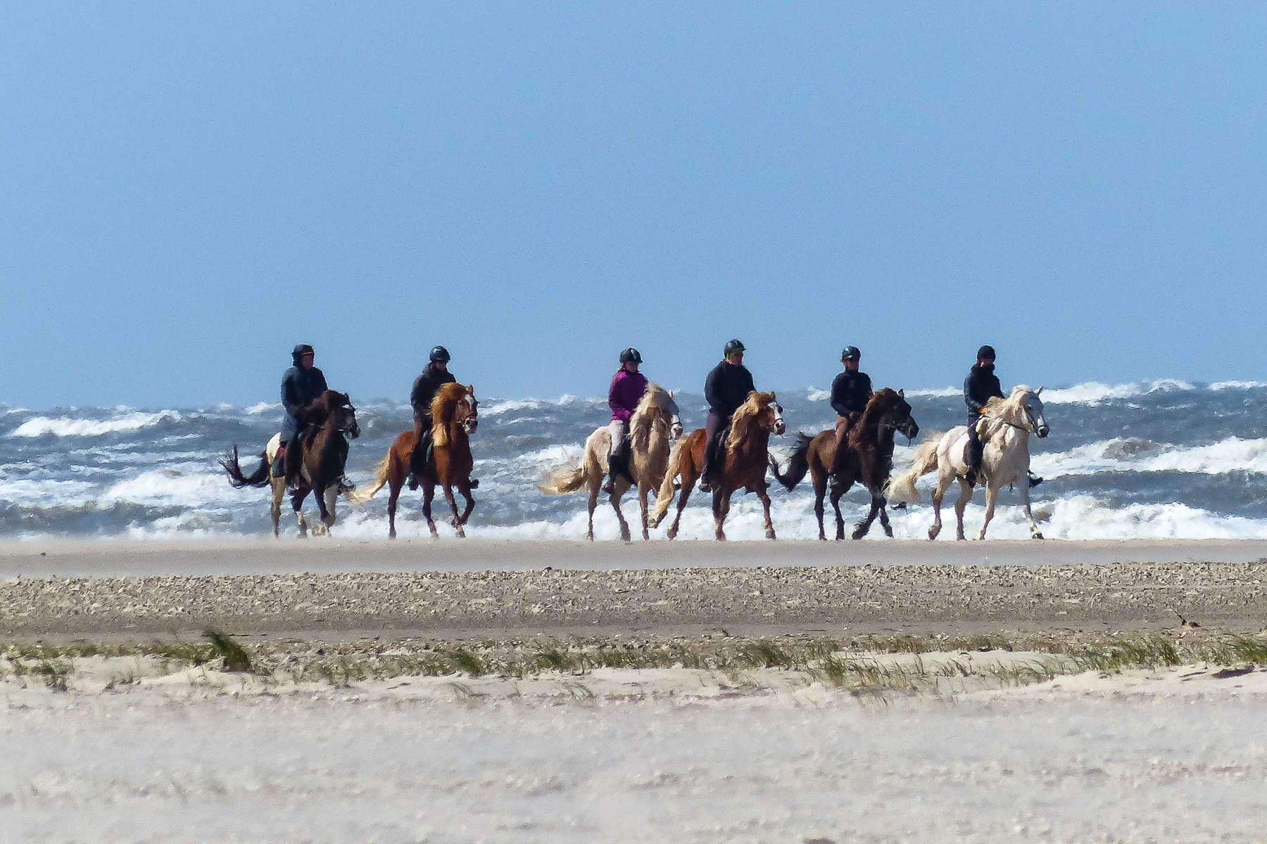 Danemark à cheval