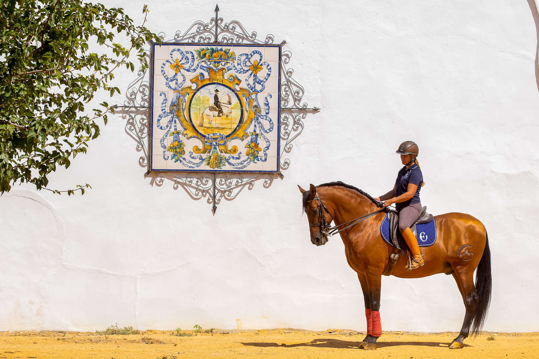 Randonnées à cheval et dressage en Espagne