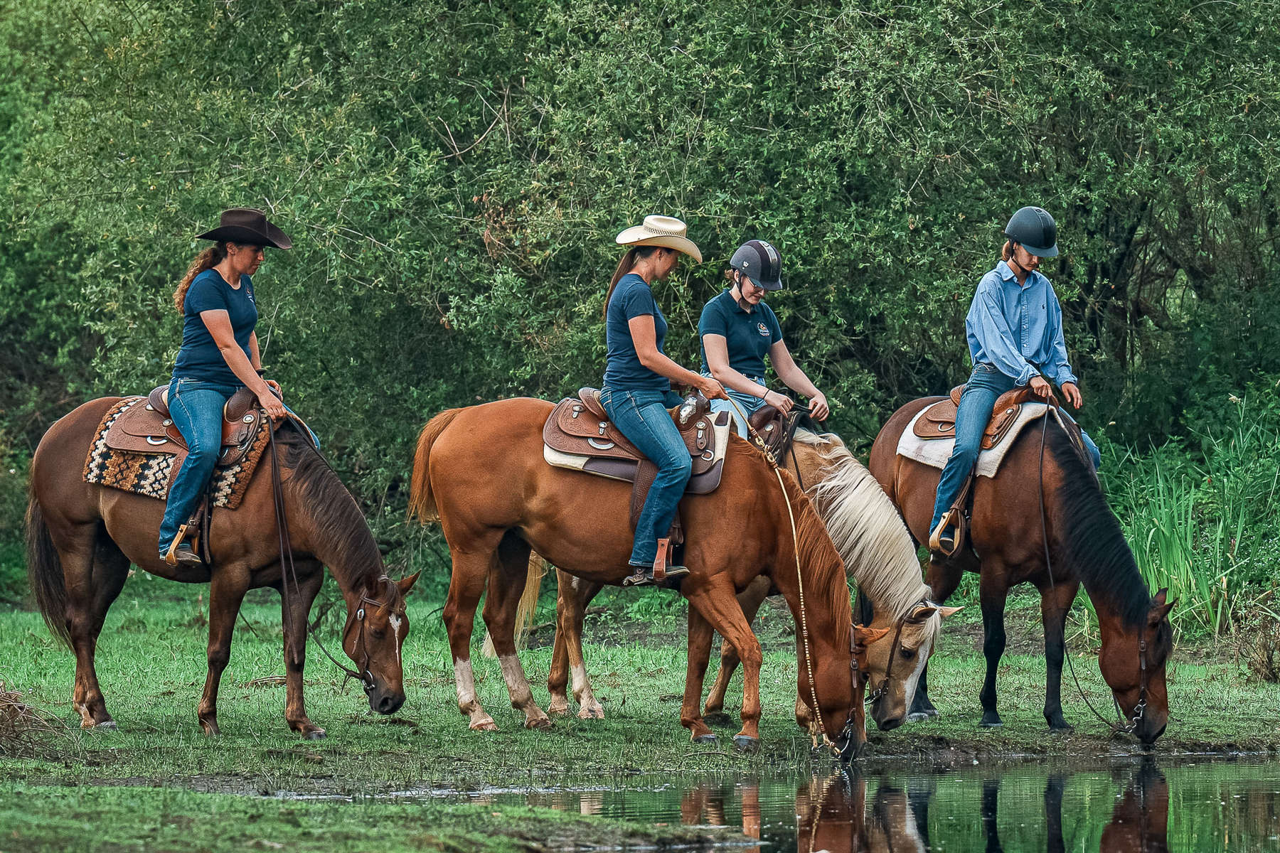 L'équipement de sécurité indispensable pour monter à cheval - Blog Equestra