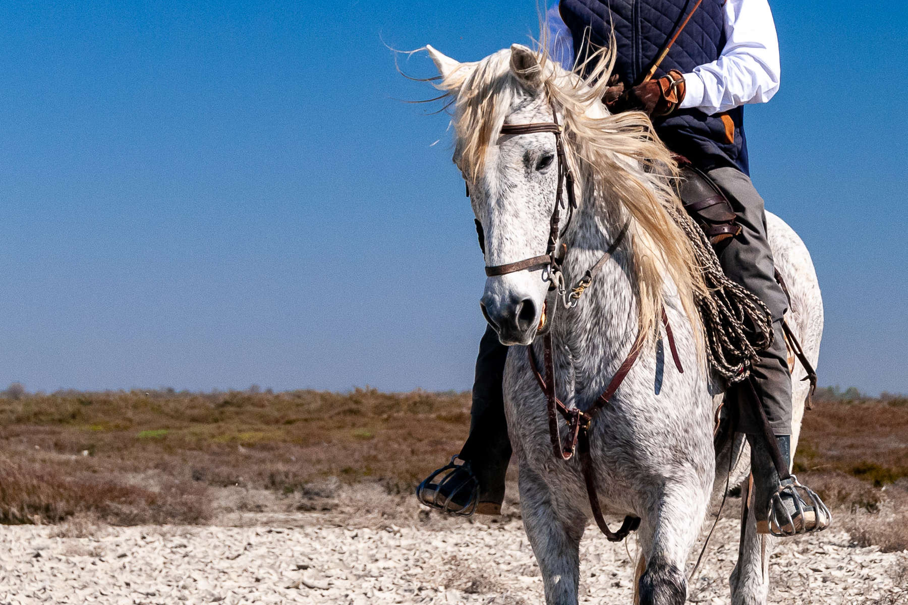 La Camargue à cheval