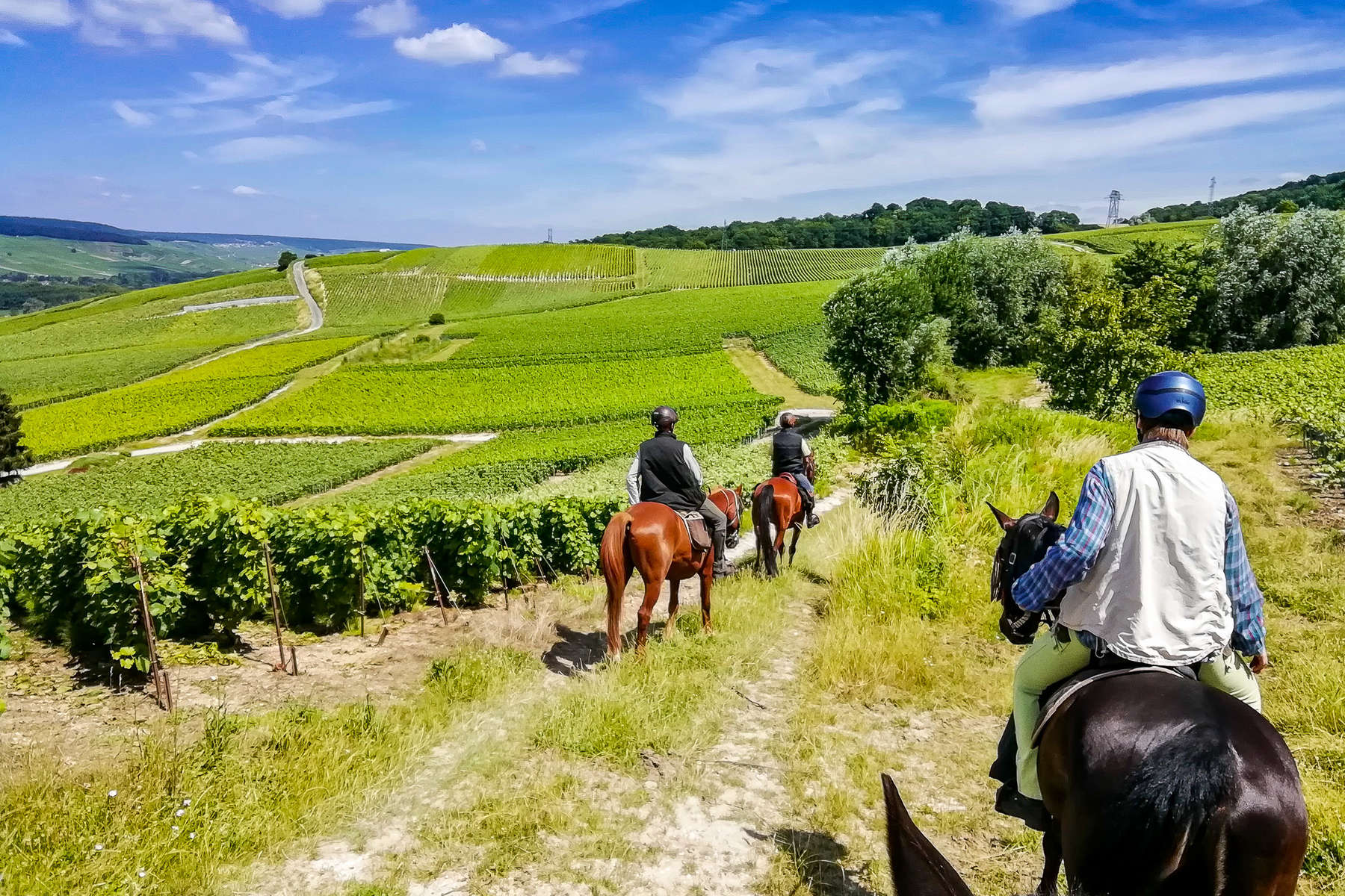 La Champagne à cheval