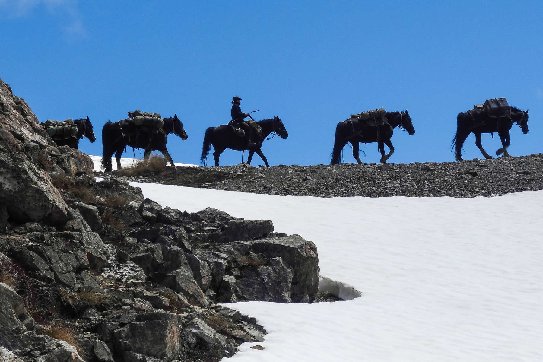 Cavaliers en Nouvelle-Zélande La Nouvelle-Zélande à cheval