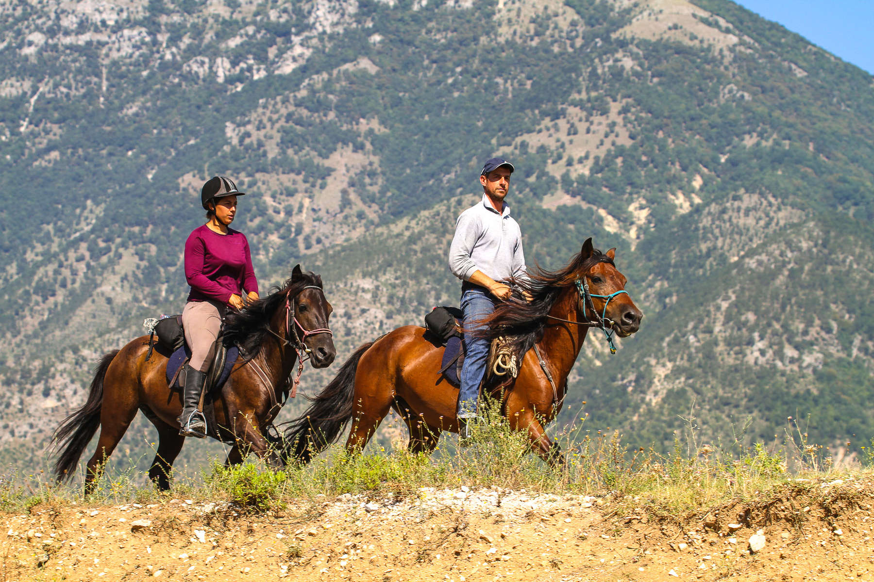 L'Albanie à cheval