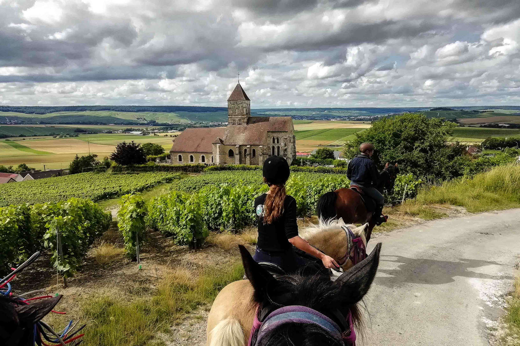 L'Alsace à cheval