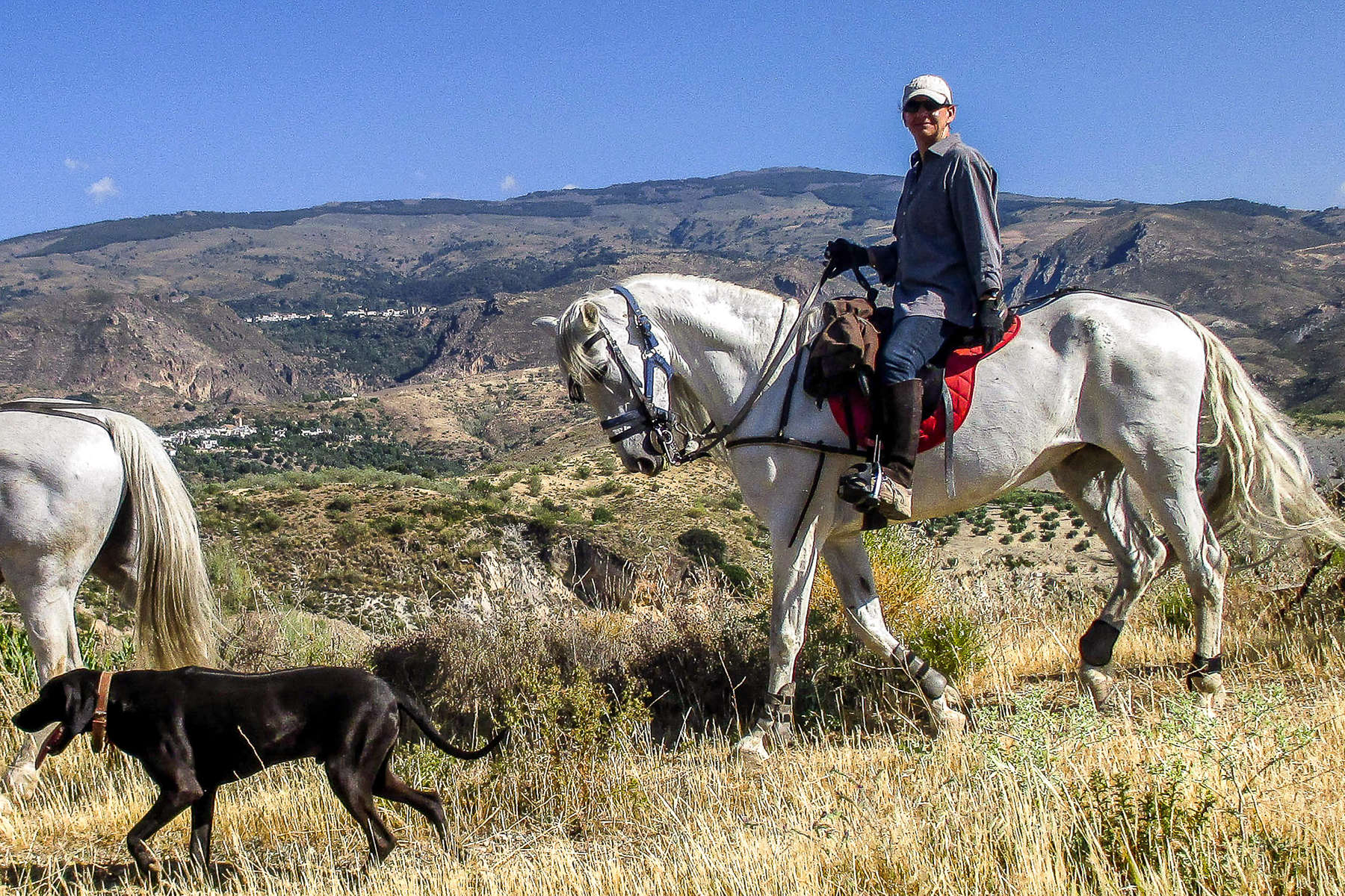 L'Andalousie à cheval