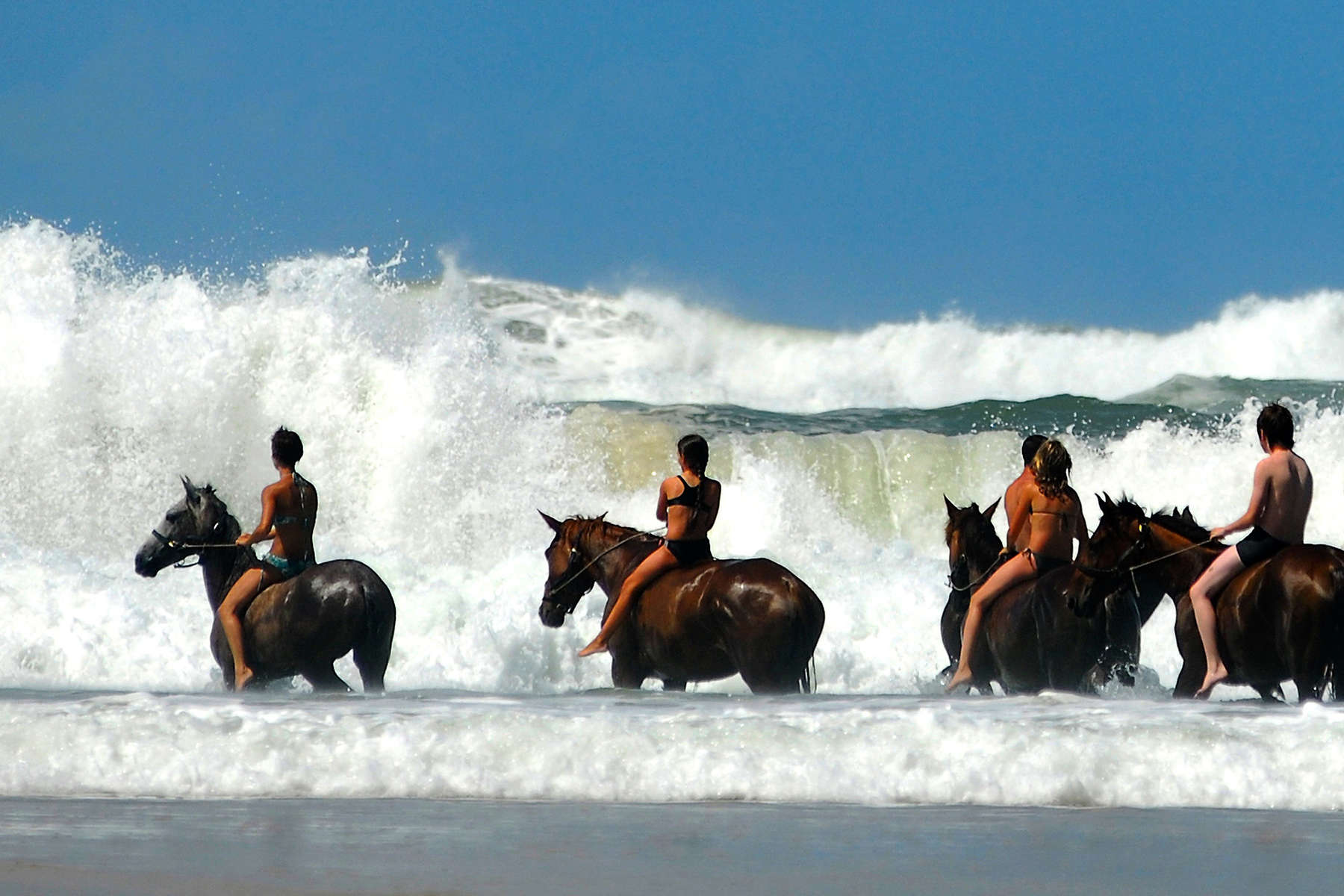 L'Aquitaine à cheval