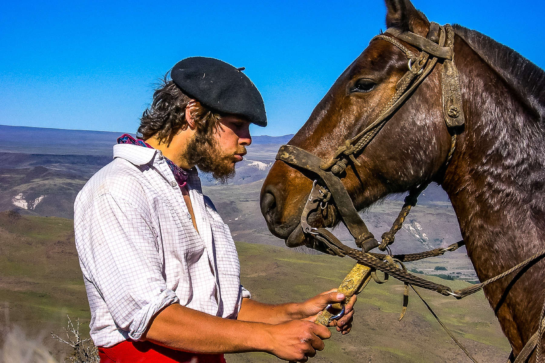 Gaucho et son cheval argentin. 