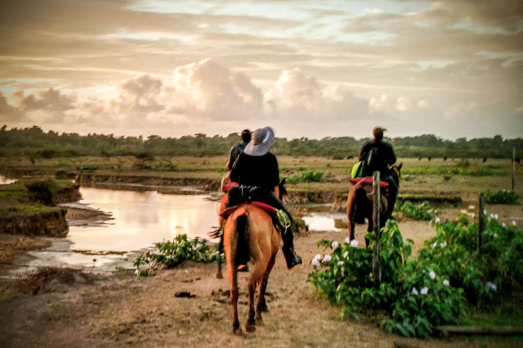 Cavaliers en Amazonie Le Brésil à cheval