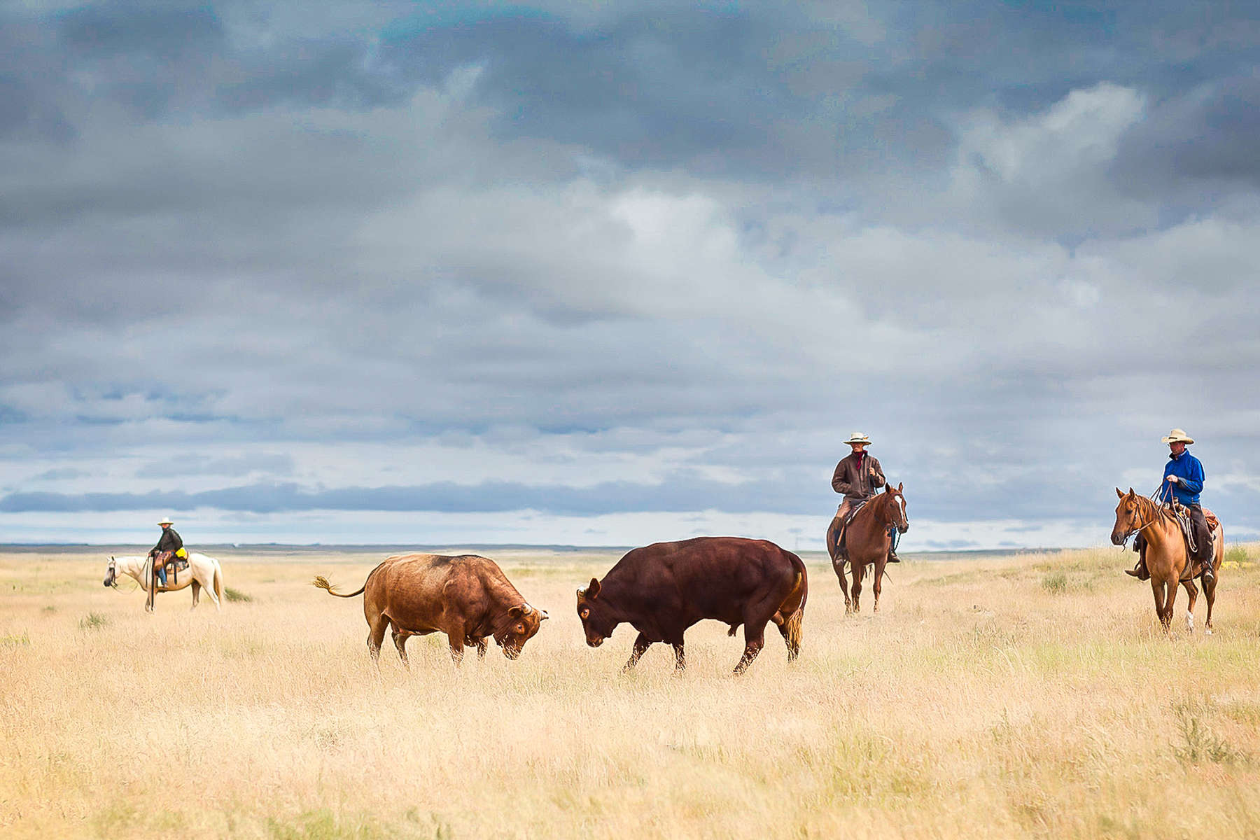 Le Colorado à cheval