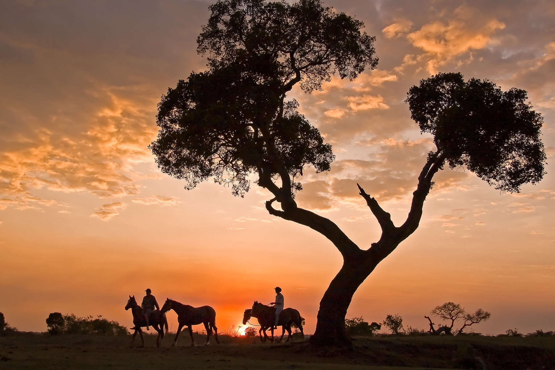 Le Masaï Mara à cheval