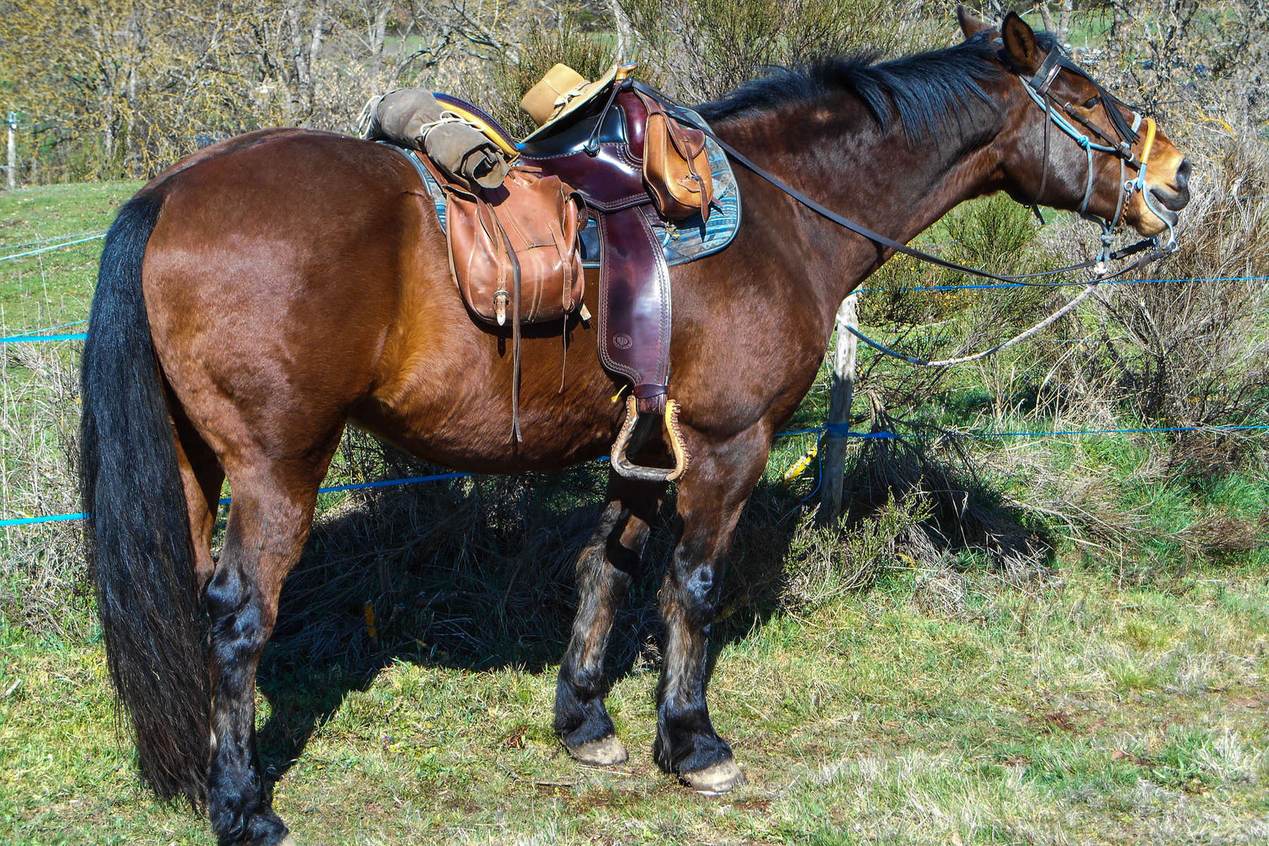 Le Massif Central à cheval