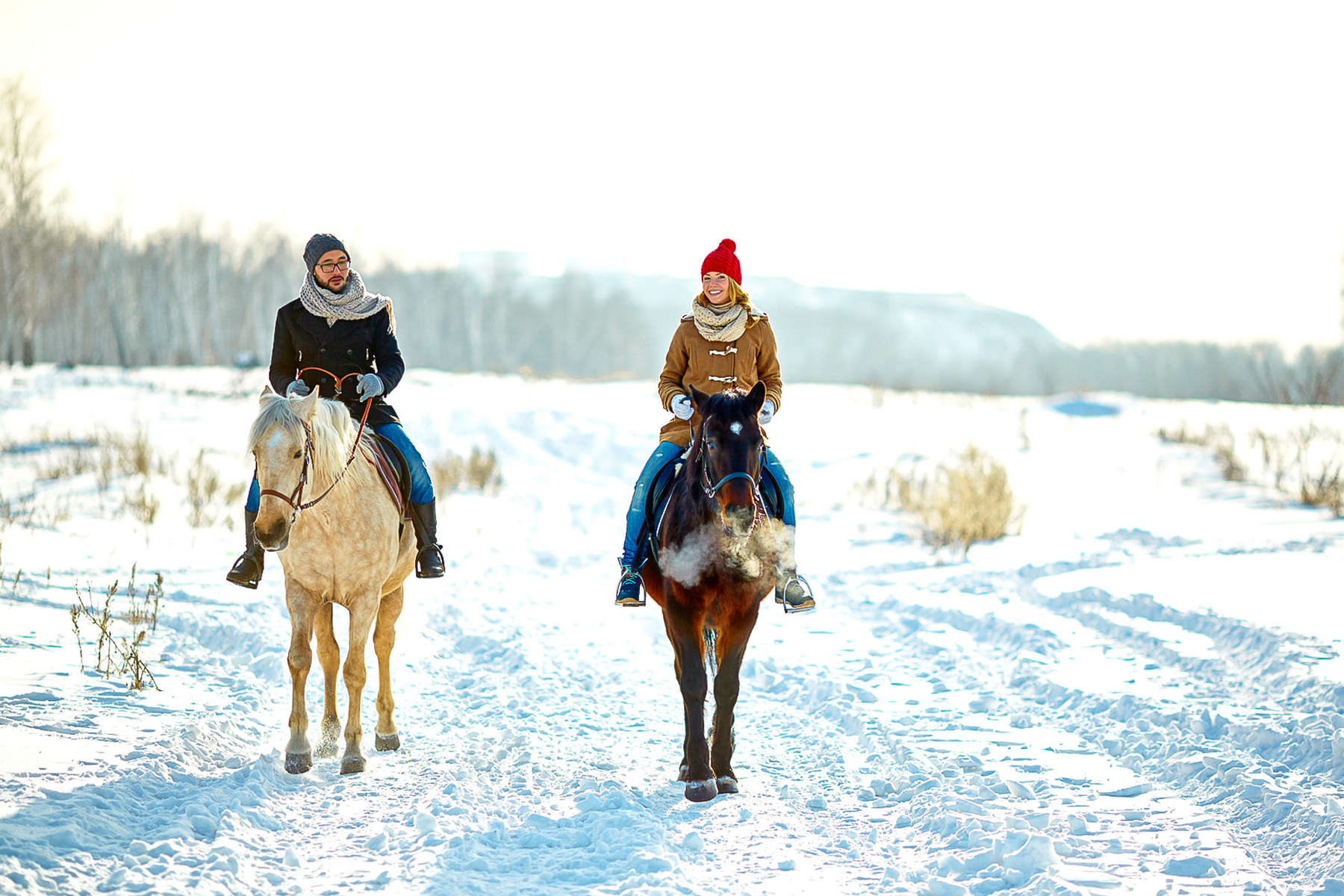 Le Québec à cheval l'hiver