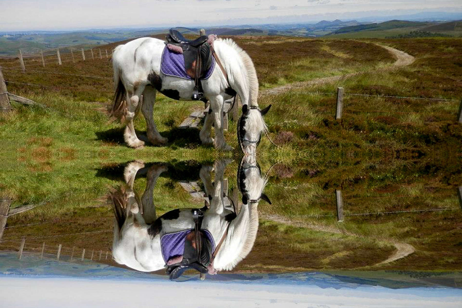 L'Ecosse à cheval