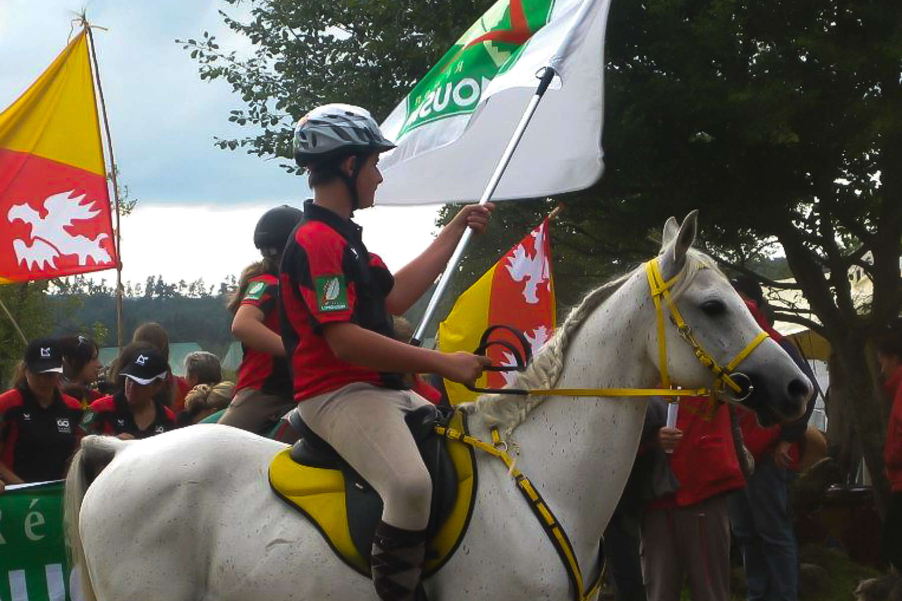 L'endurance à cheval