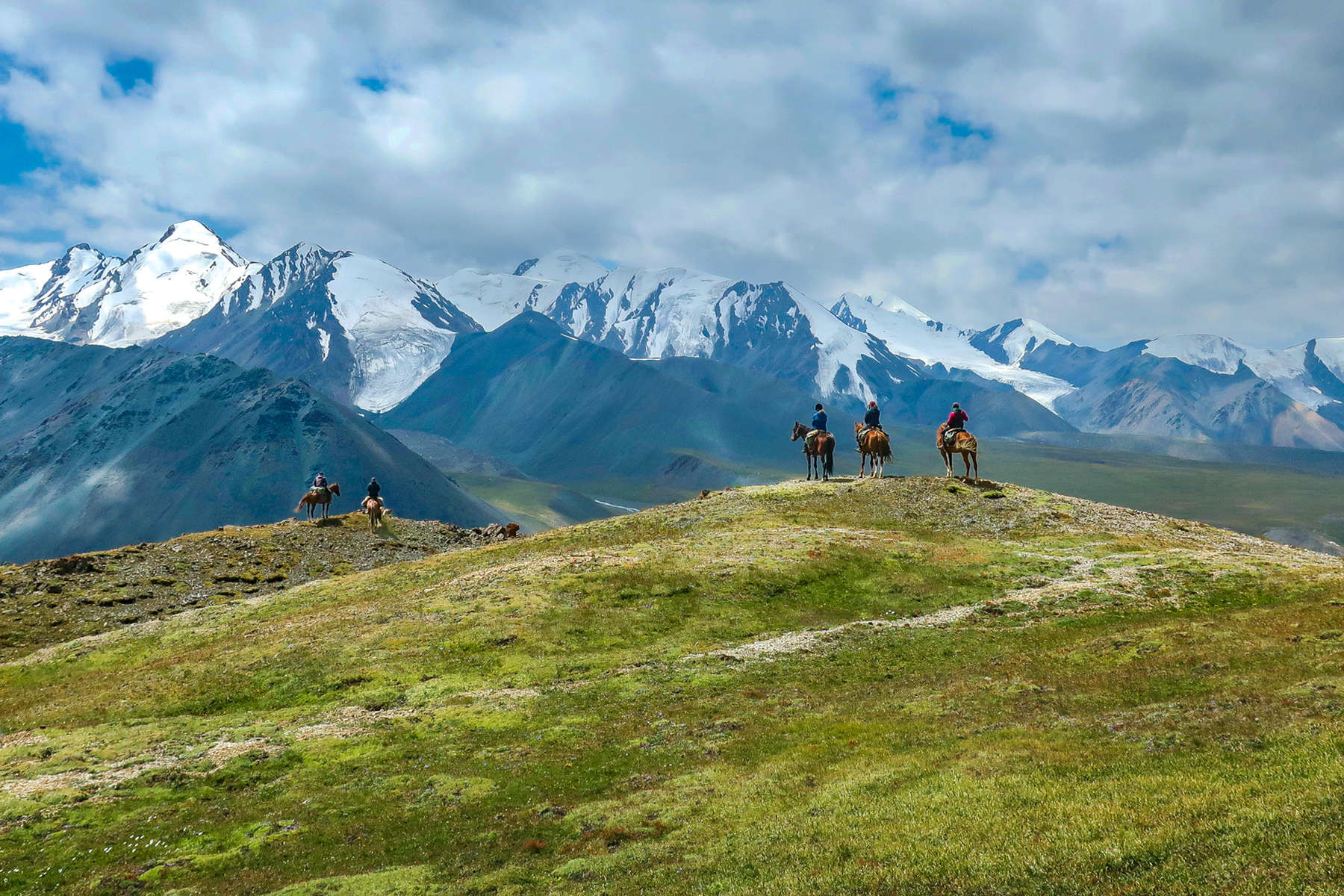 Les Chevaux Célestes