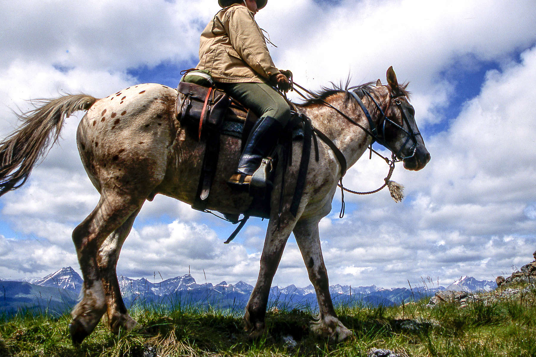 Les Rocheuses à cheval