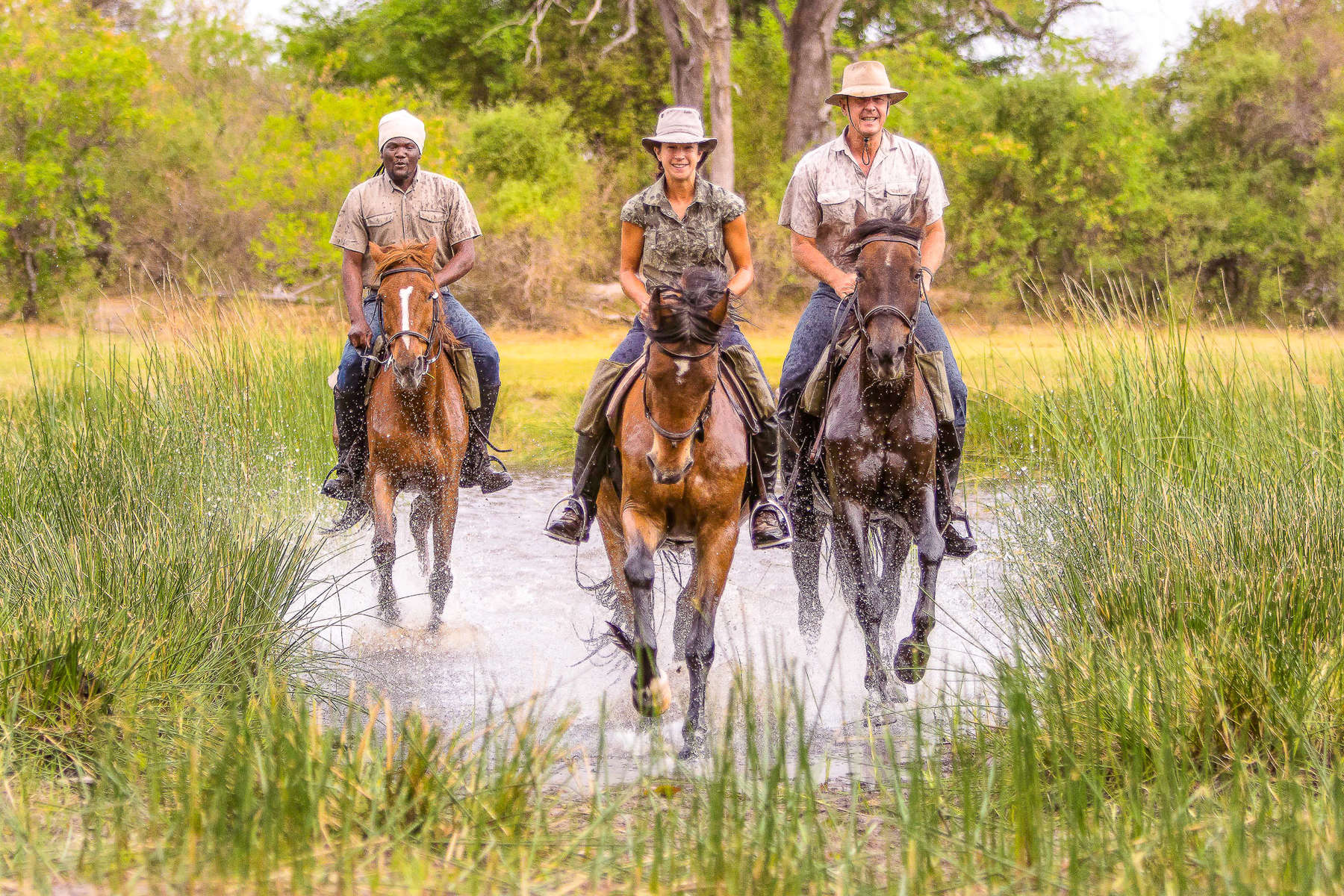 L'Okavango au galop