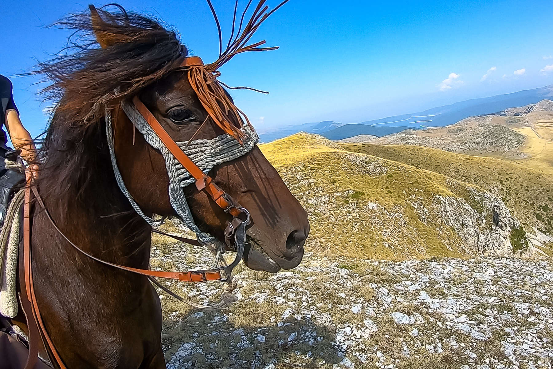 Voyage à cheval, randonnées à cheval avec Nomade Aventure