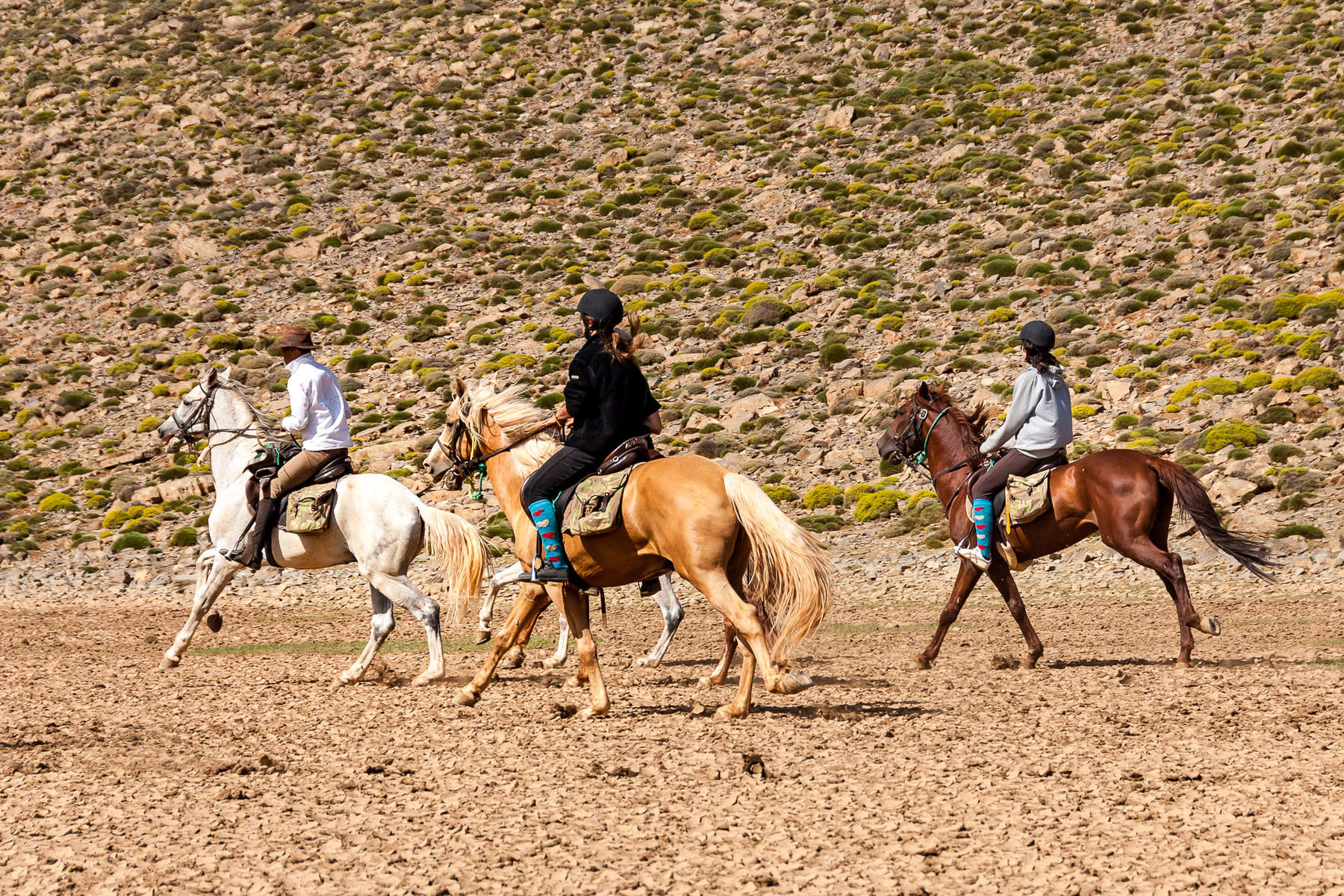 Maroc pour jeunes cavaliers